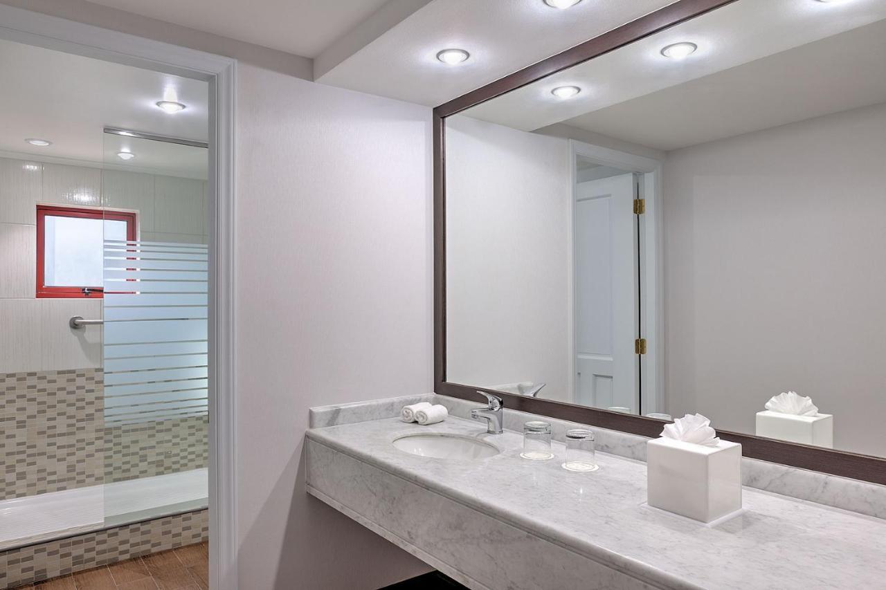 Quarto Deluxe com Cama King-size e Vista da Cidade