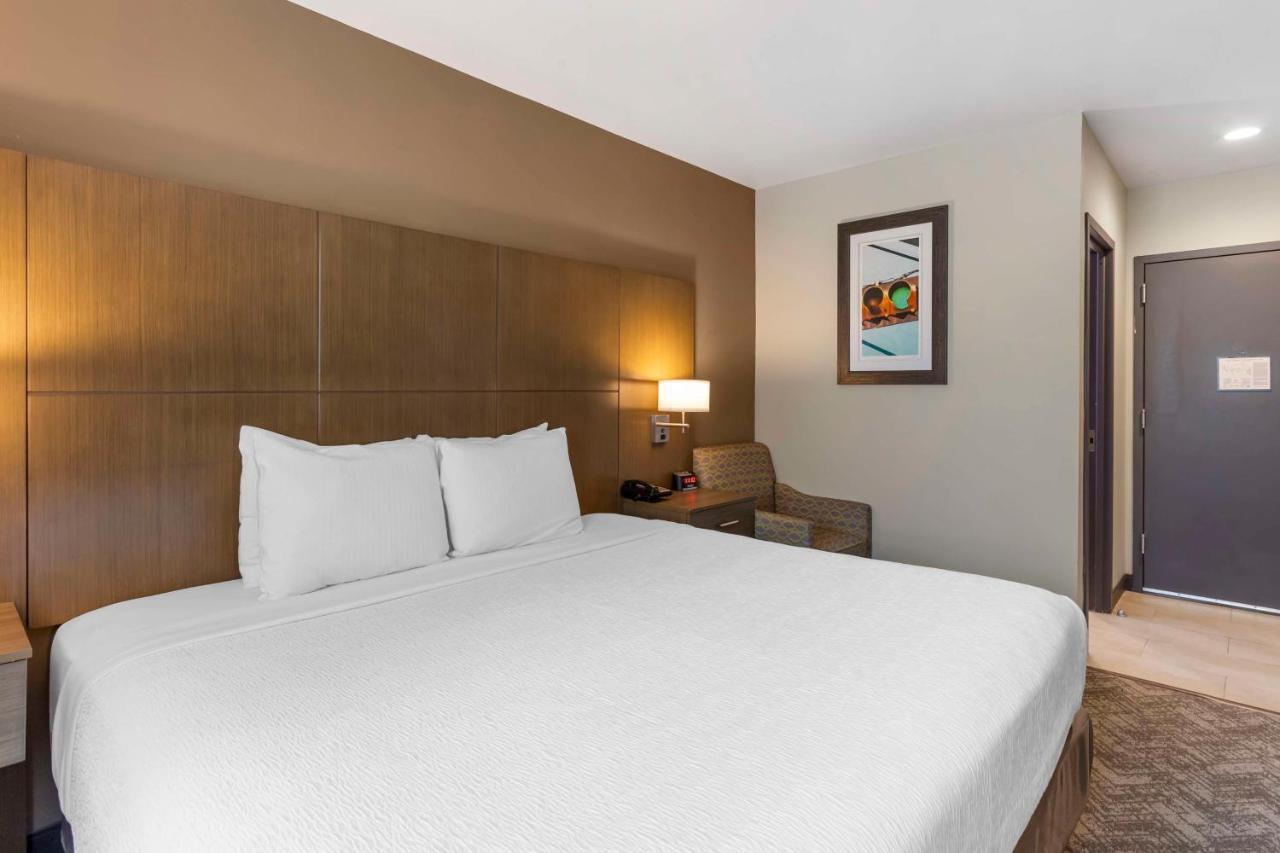 Kamer met Kingsize Bed en Rolstoeltoegankelijke Douche - Toegankelijk voor Gasten met een Lichamelijke Beperking / Rookvrij