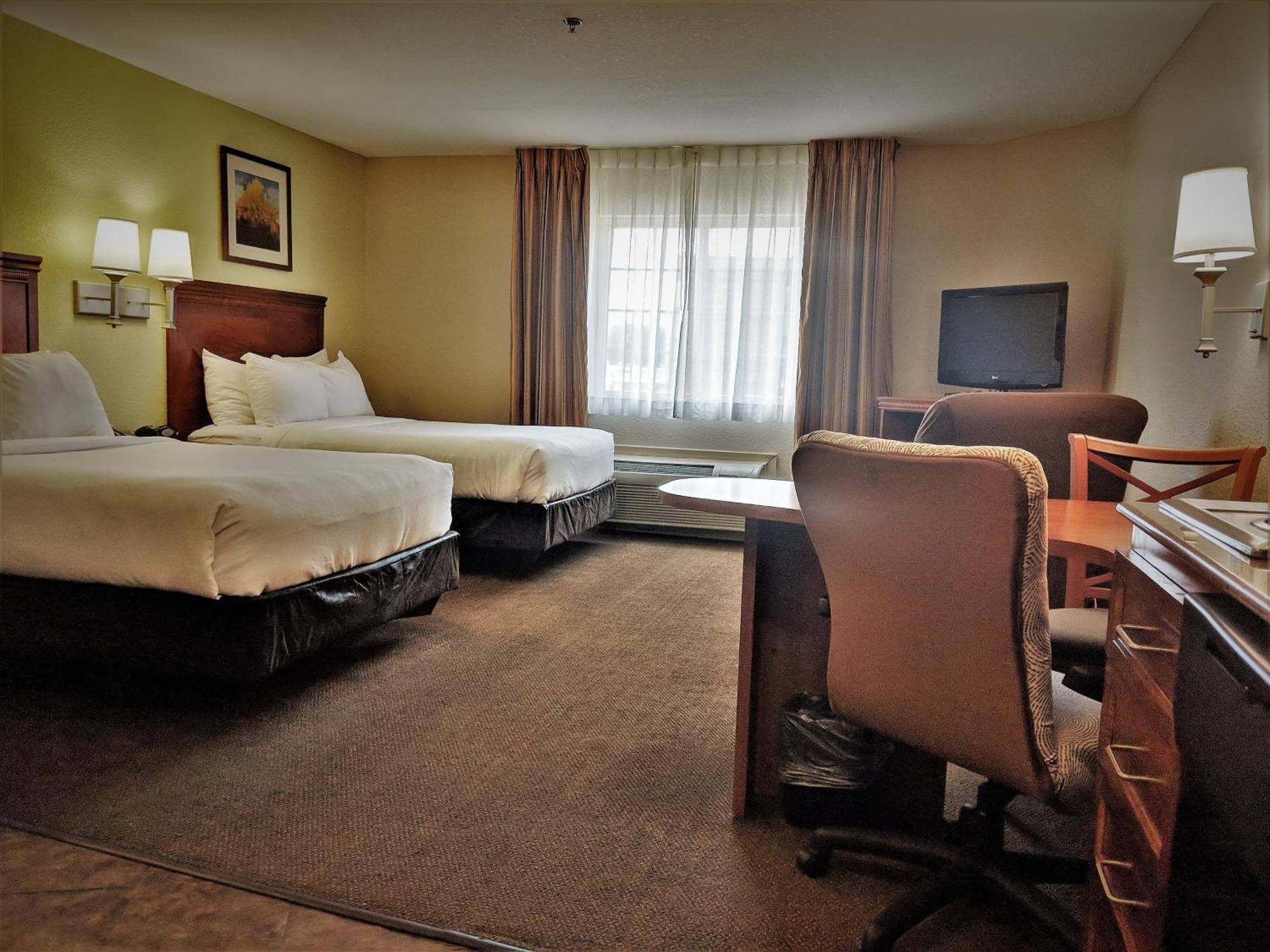 Studio Suite with Two Double Beds and Mobility Accessible Roll-In Shower