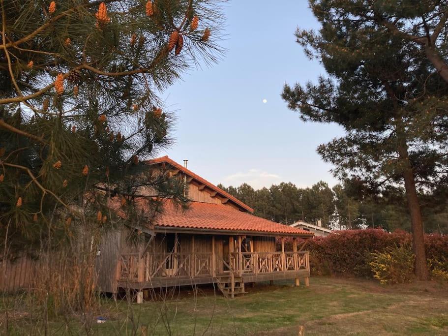 Chalet 2 Chambres