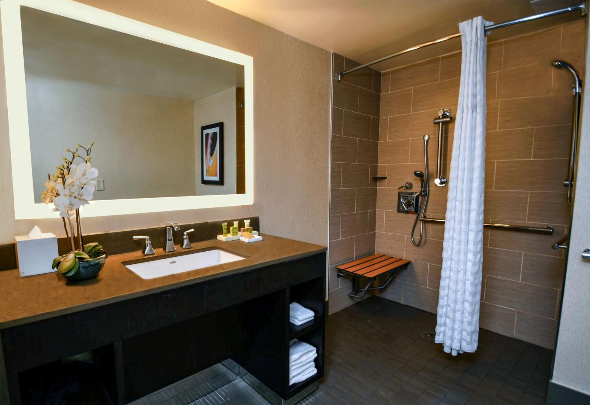 King Room Roll Shower Disability Access