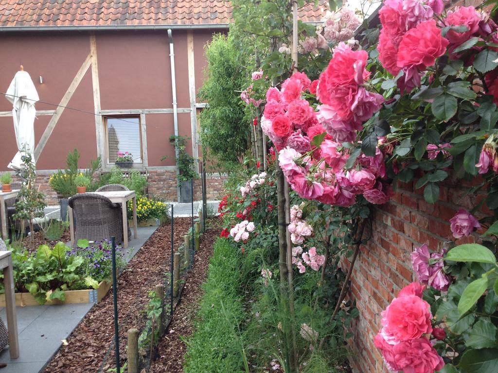 Double Room with Bath and Terrace,168729066:JPEG