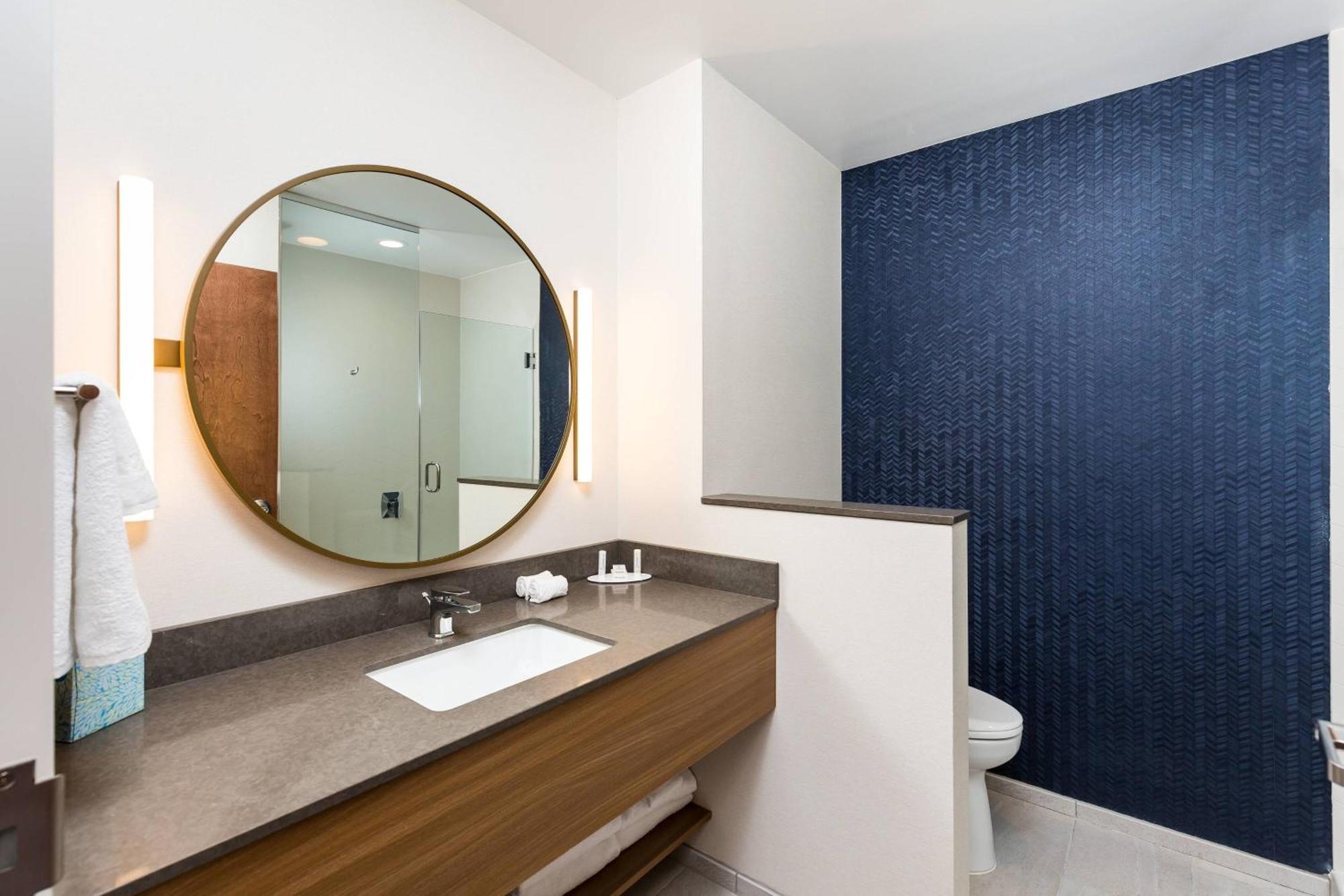 King Suite with Bathtub and Sofa Bed - Mobility Access/Hearing Accessible