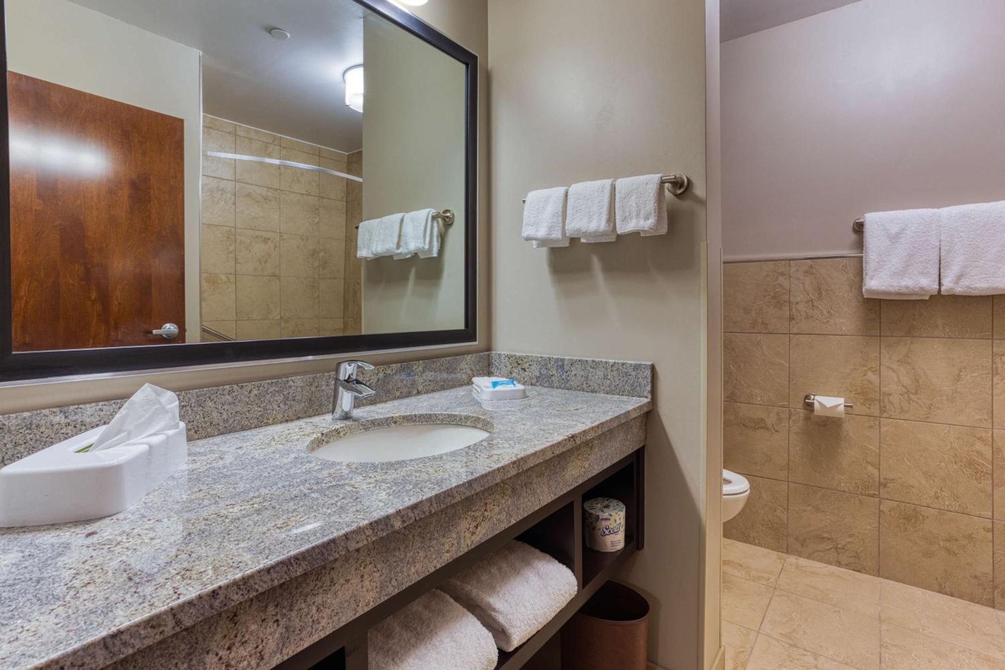Deluxe King Suite