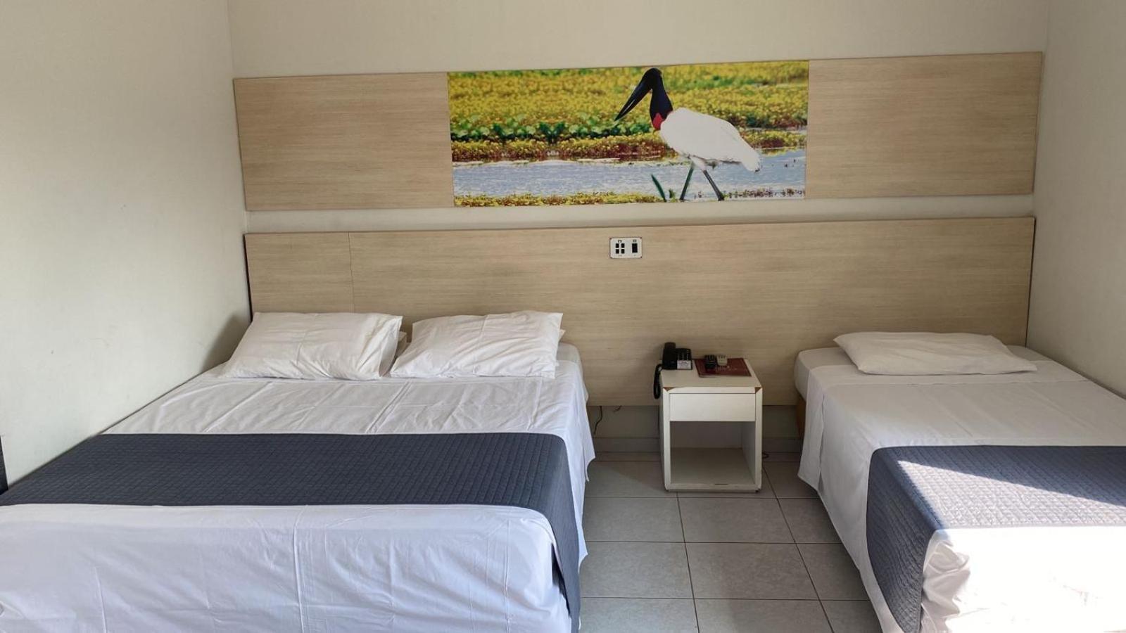 Quarto Família
