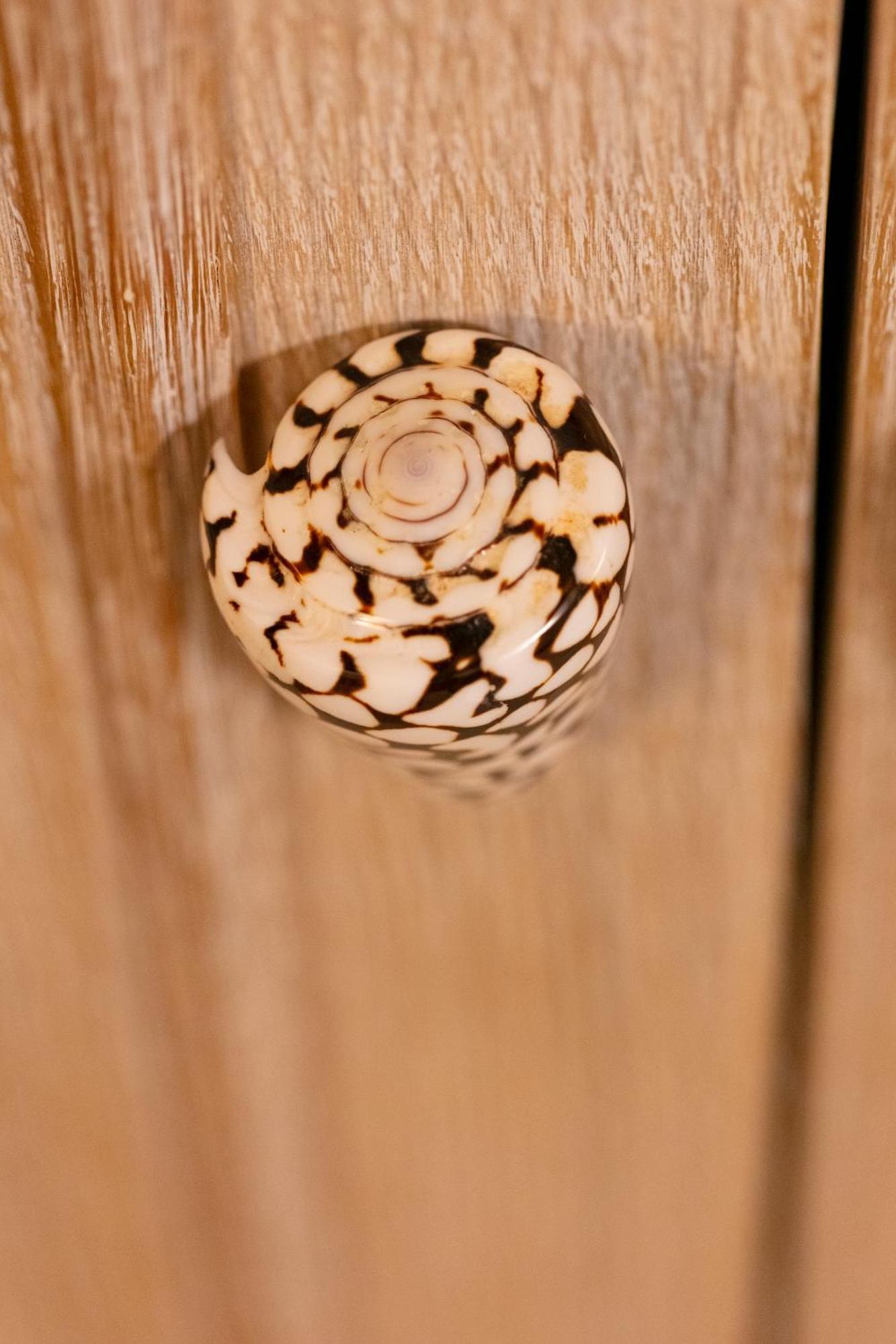 Single Room,1547391724:JPEG