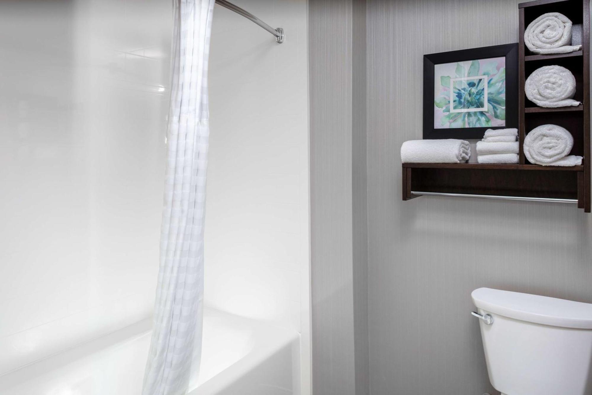 One-Bedroom King Suite - Non-Smoking