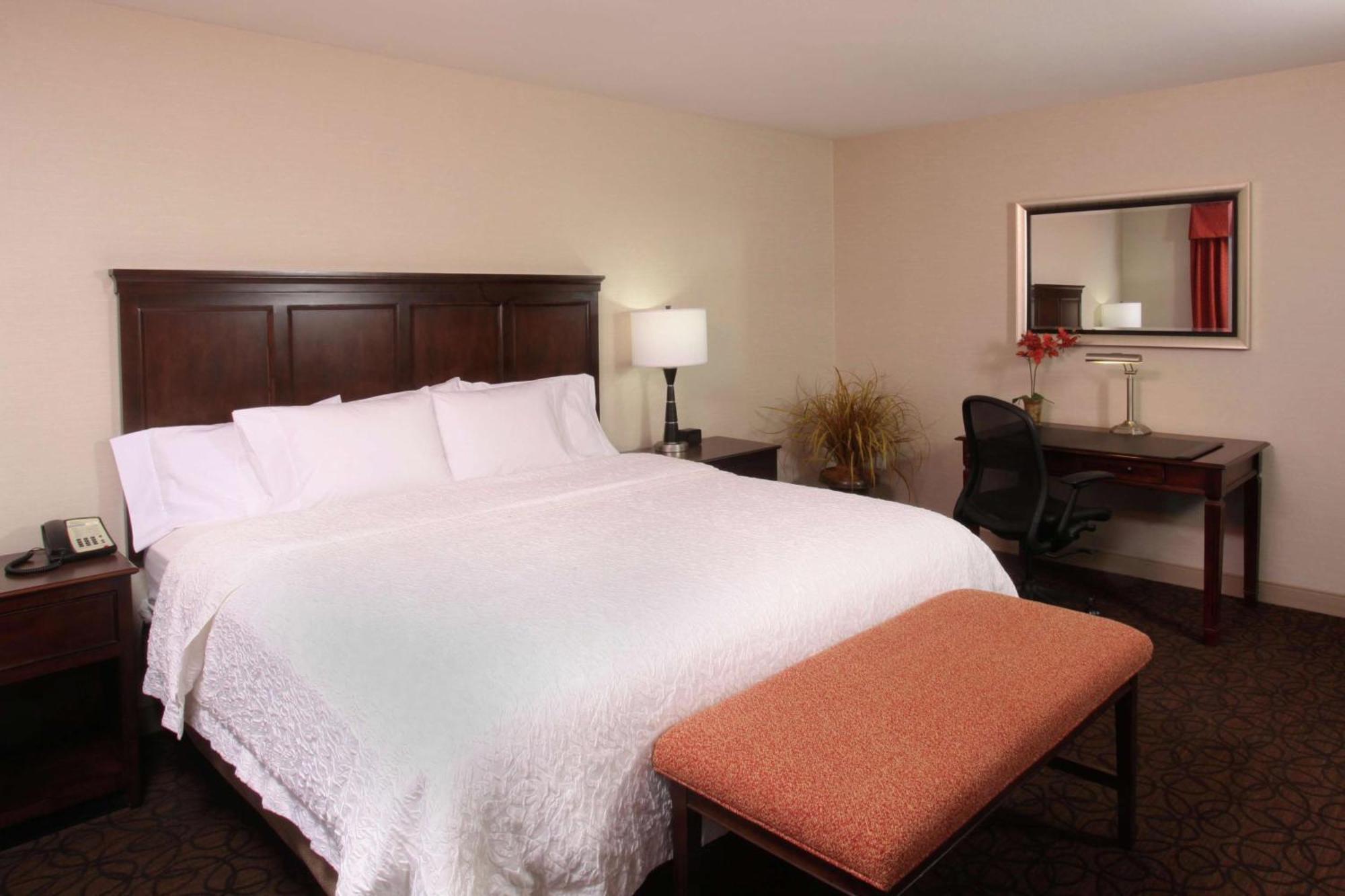 One-Bedroom King Suite- Non-Smoking