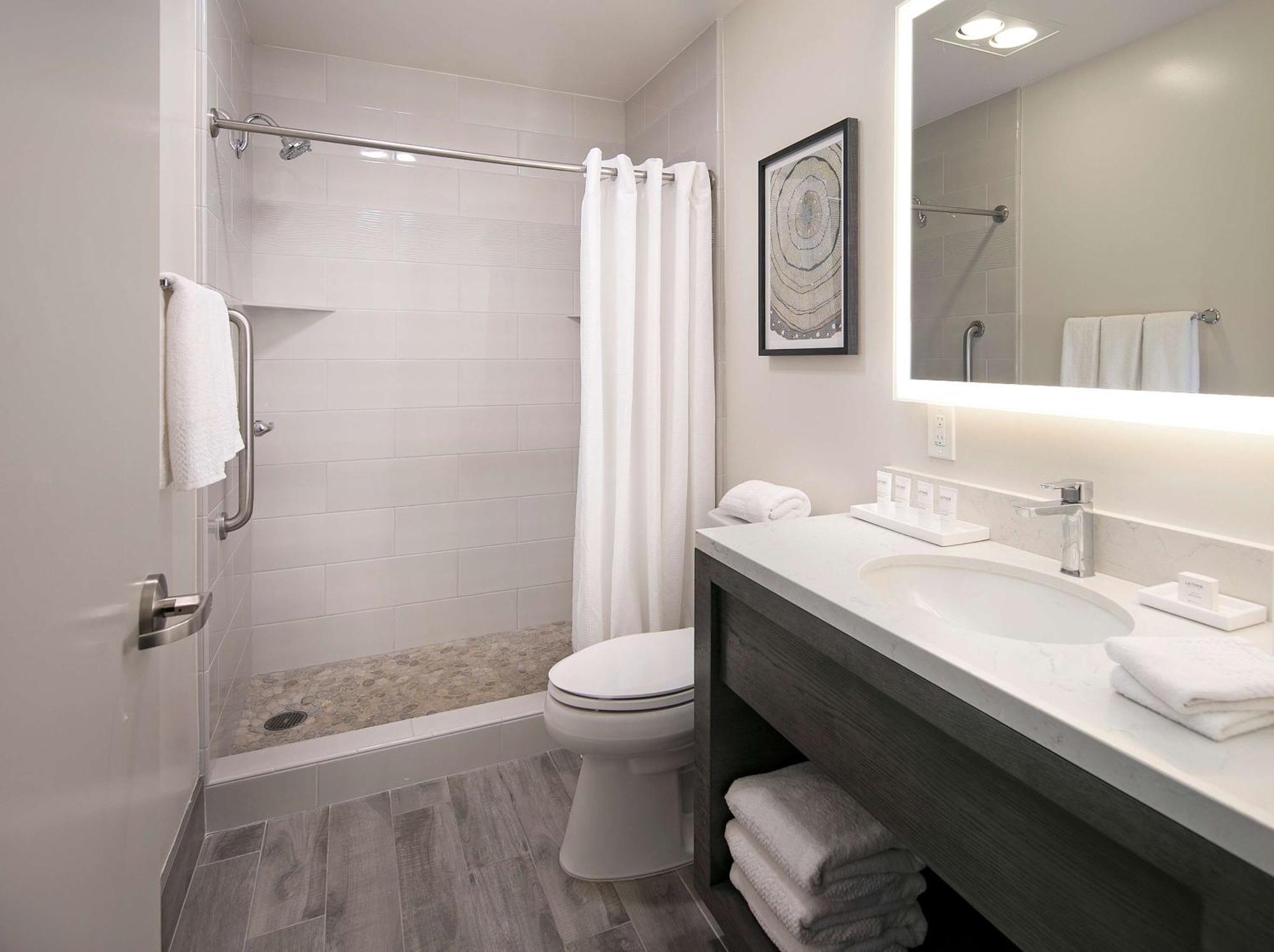 Deluxe One-Bedroom King Suite