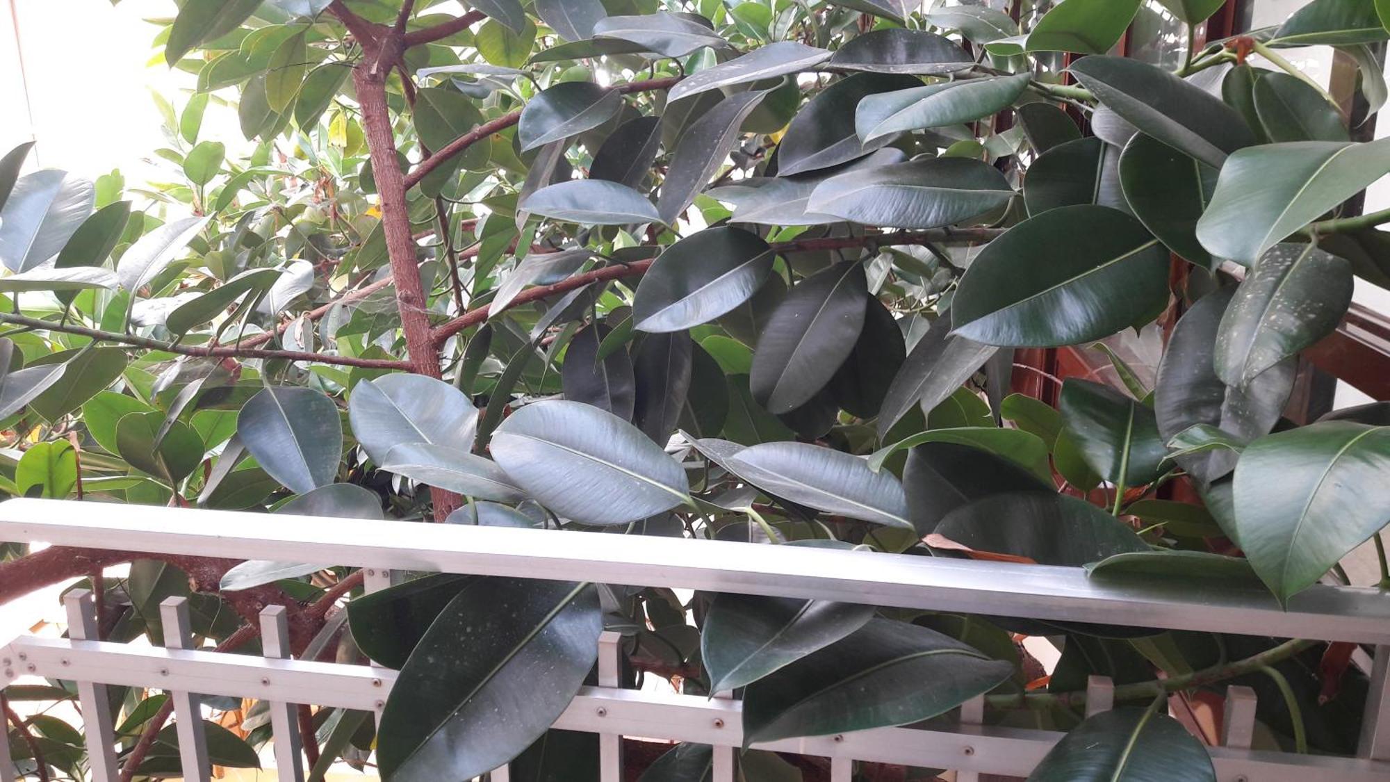 Economy Twin Room,1553288911:JPEG