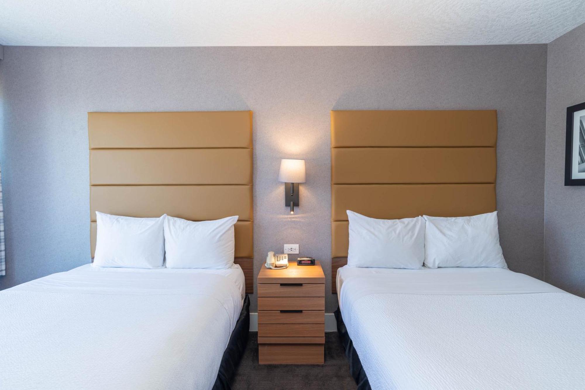 Standaard Kamer met 2 Tweepersoonsbedden
