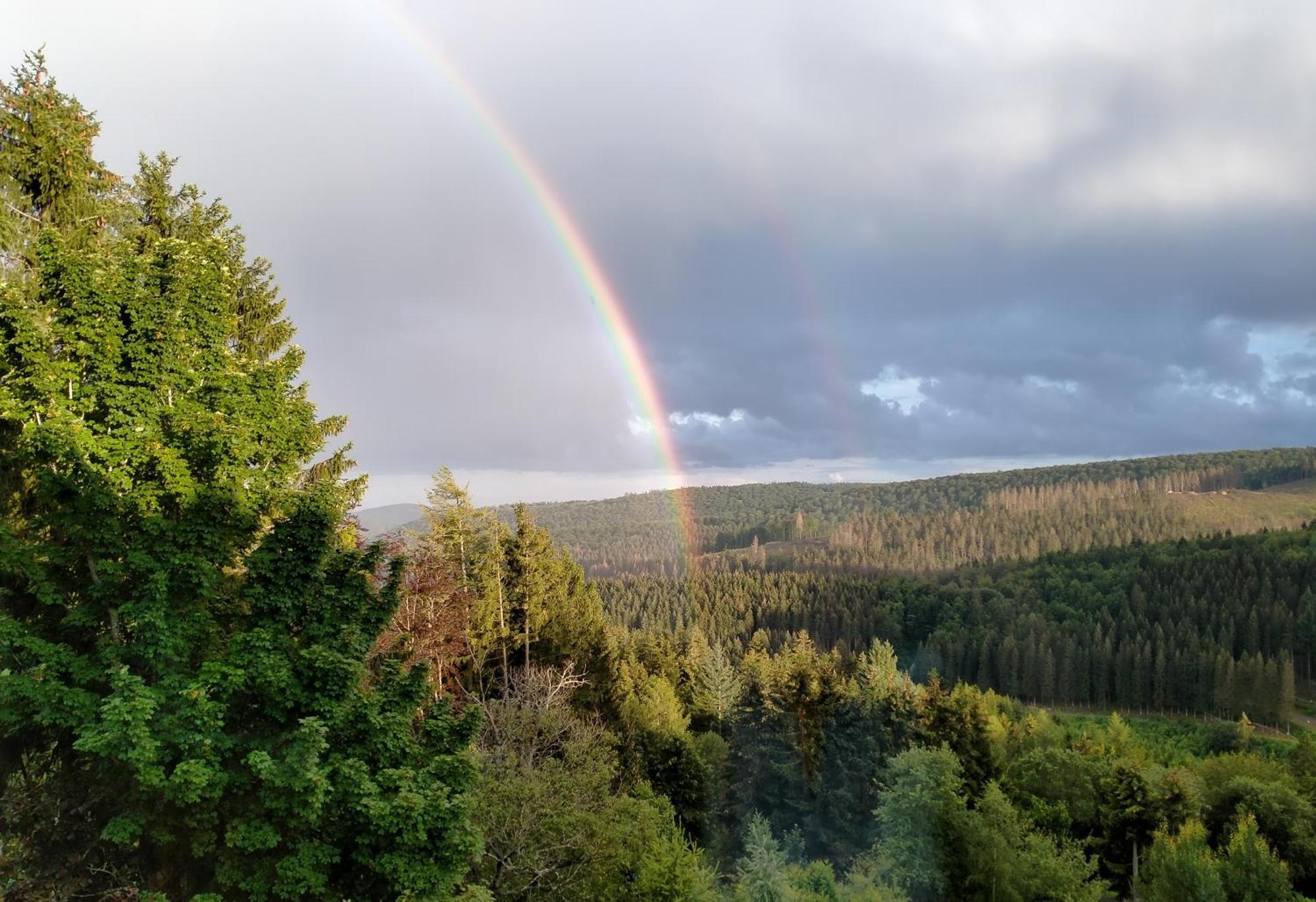 Triple Room with Mountain View,1554696295:JPEG