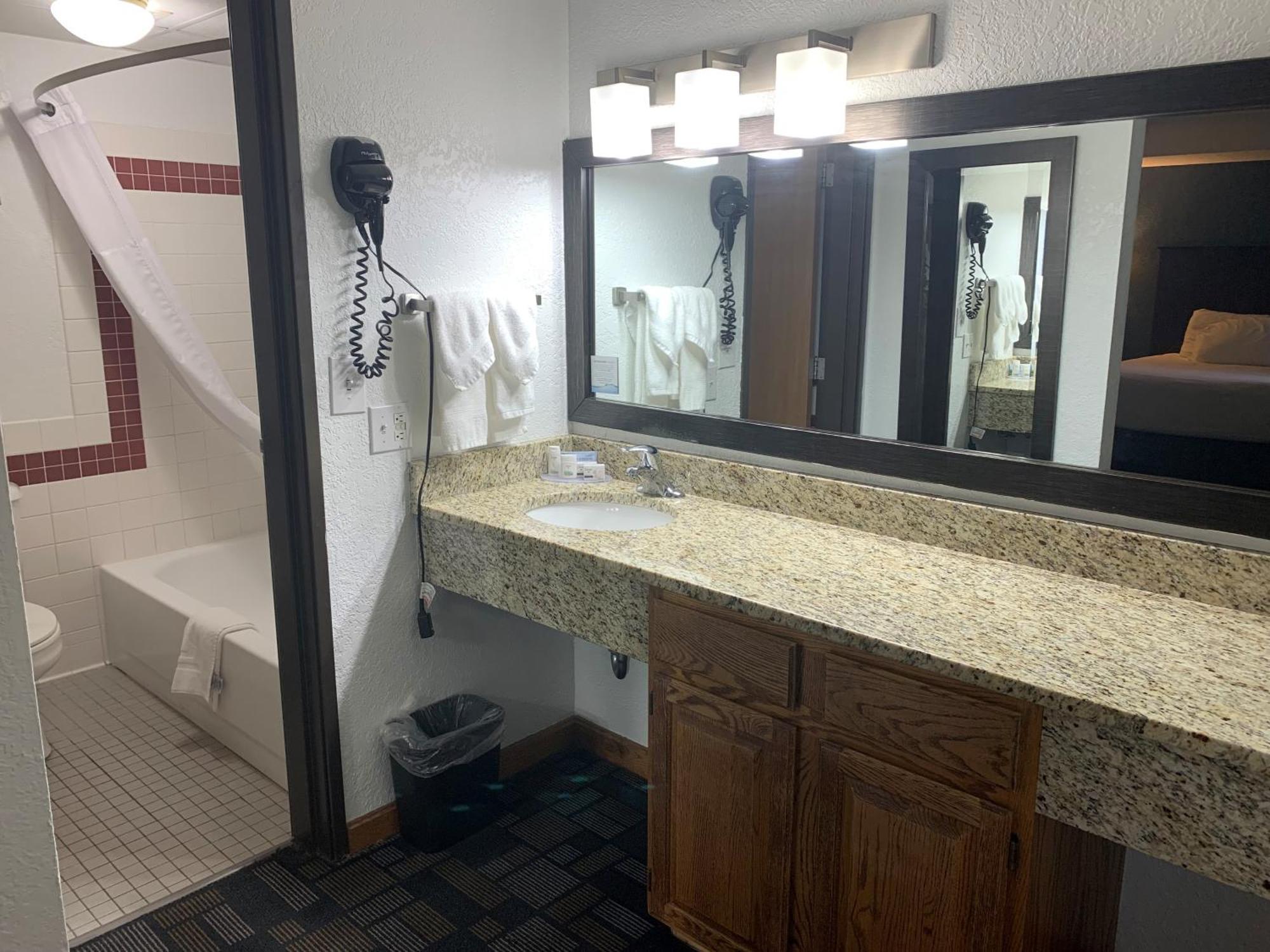 Deluxe Queen Studio Suite with Pool View - Non-Smoking