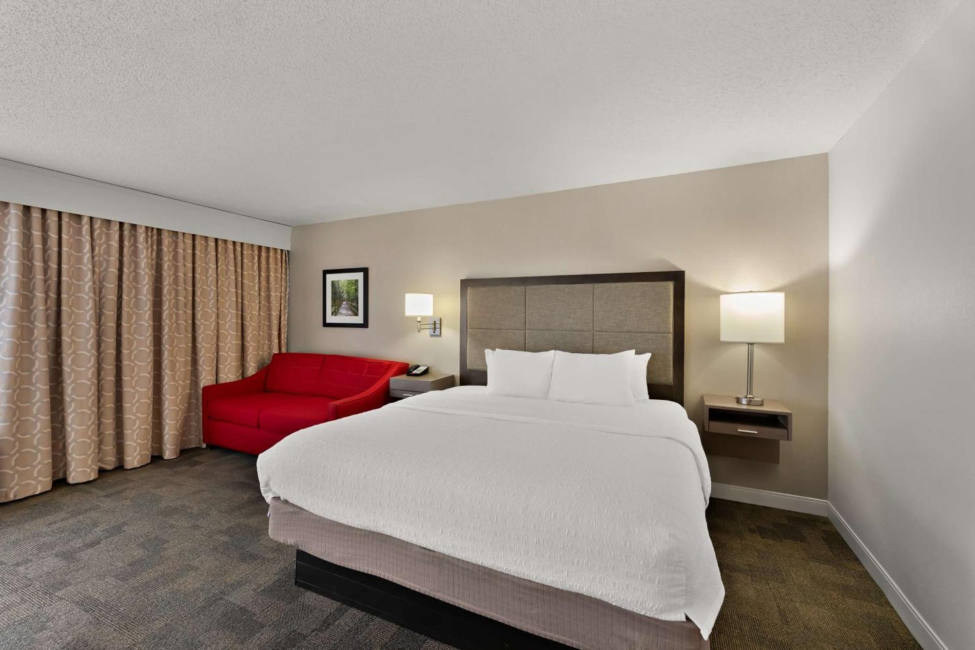 One-Bedroom King Suite with Sofa Bed - Non-Smoking
