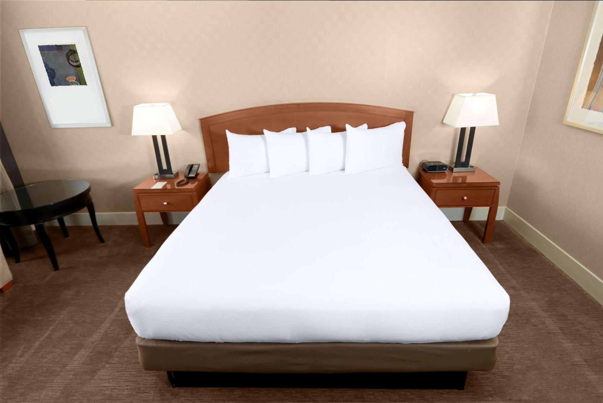 Camera con Vista Skyline e 1 Letto King-Size
