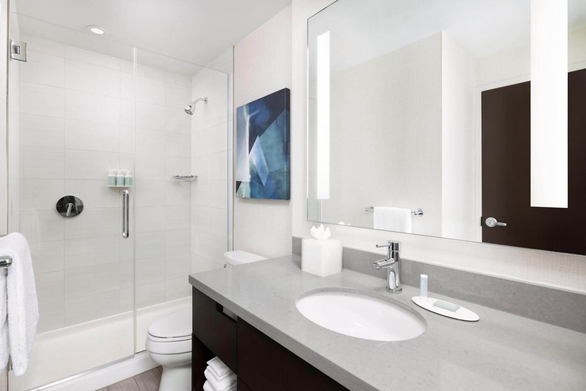 Estudio Doble Executive con sofá cama - Cama extragrande