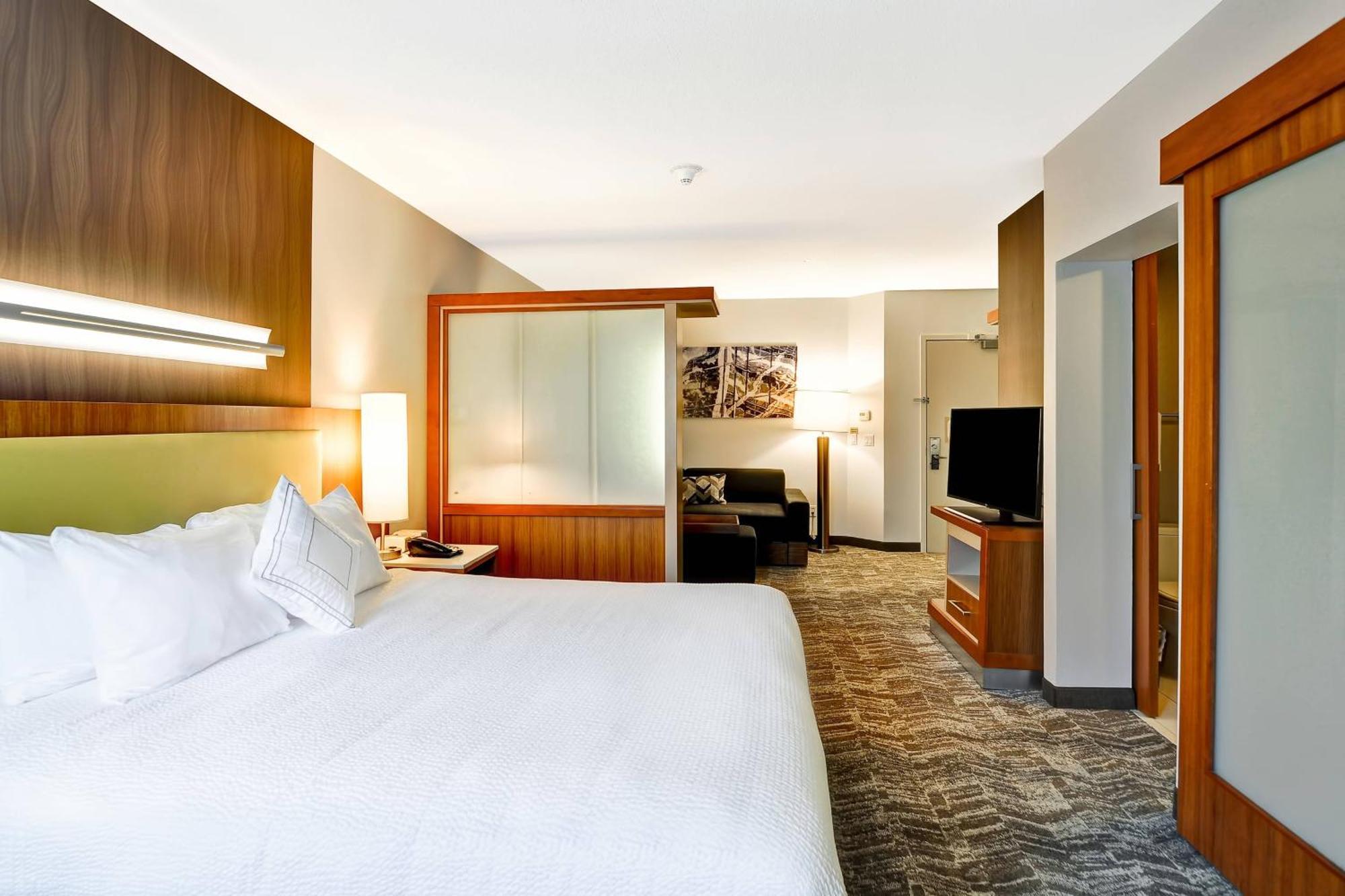 King Suite with Transfer Shower, Bathtub and Trundle Sofa - Mobility Access/Hearing Accessible