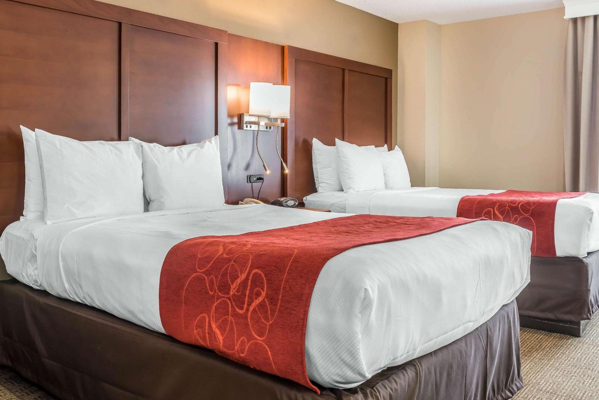Double Bed Suite,1609325803:JPEG