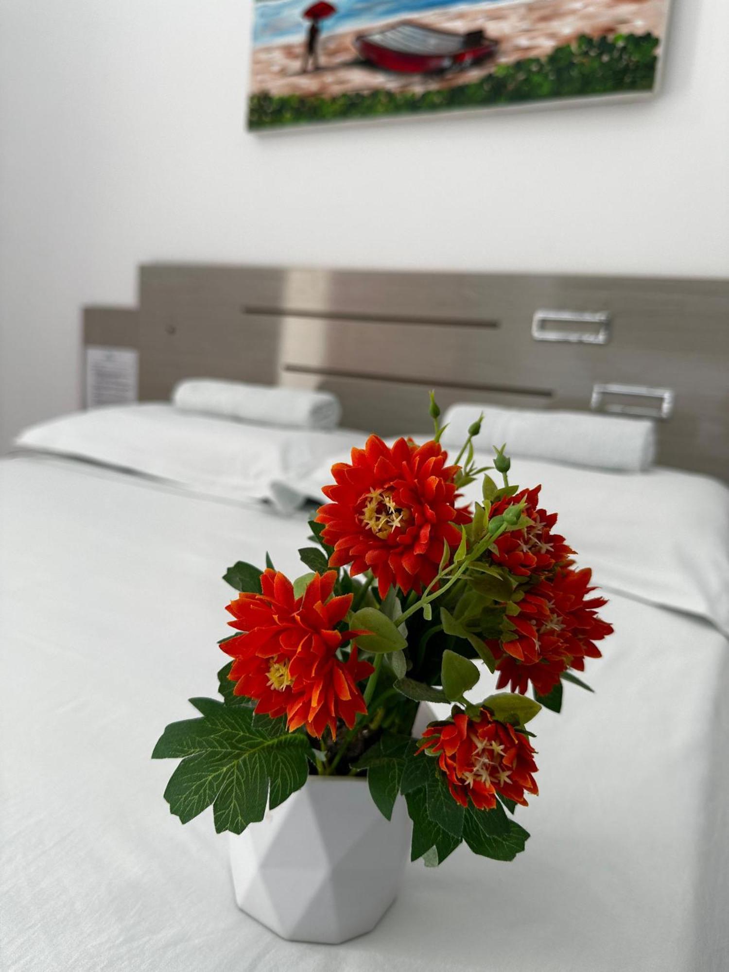Quarto Duplo Standard