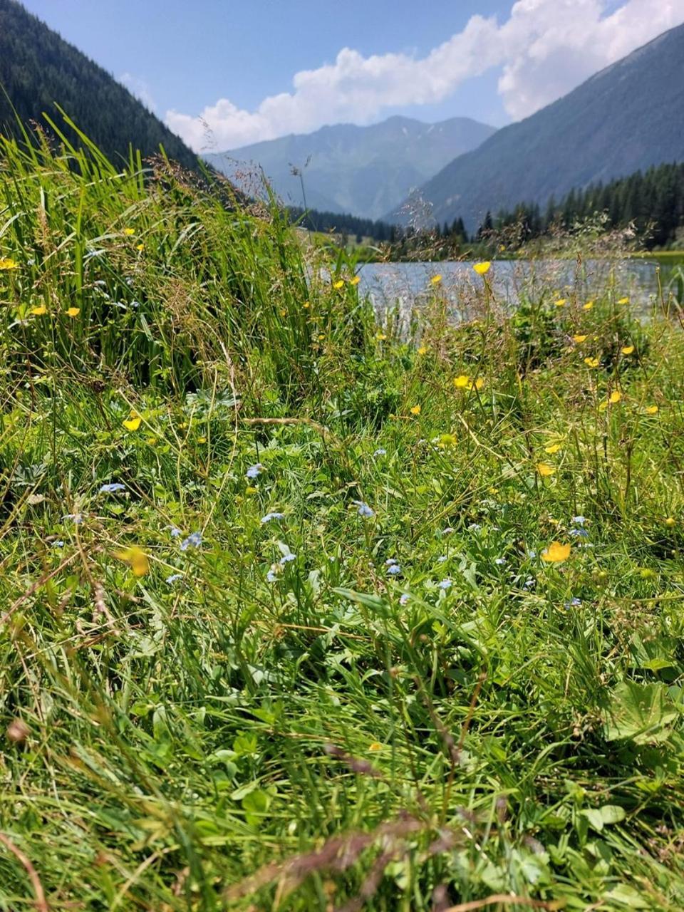 Single Room,1618292054:JPEG