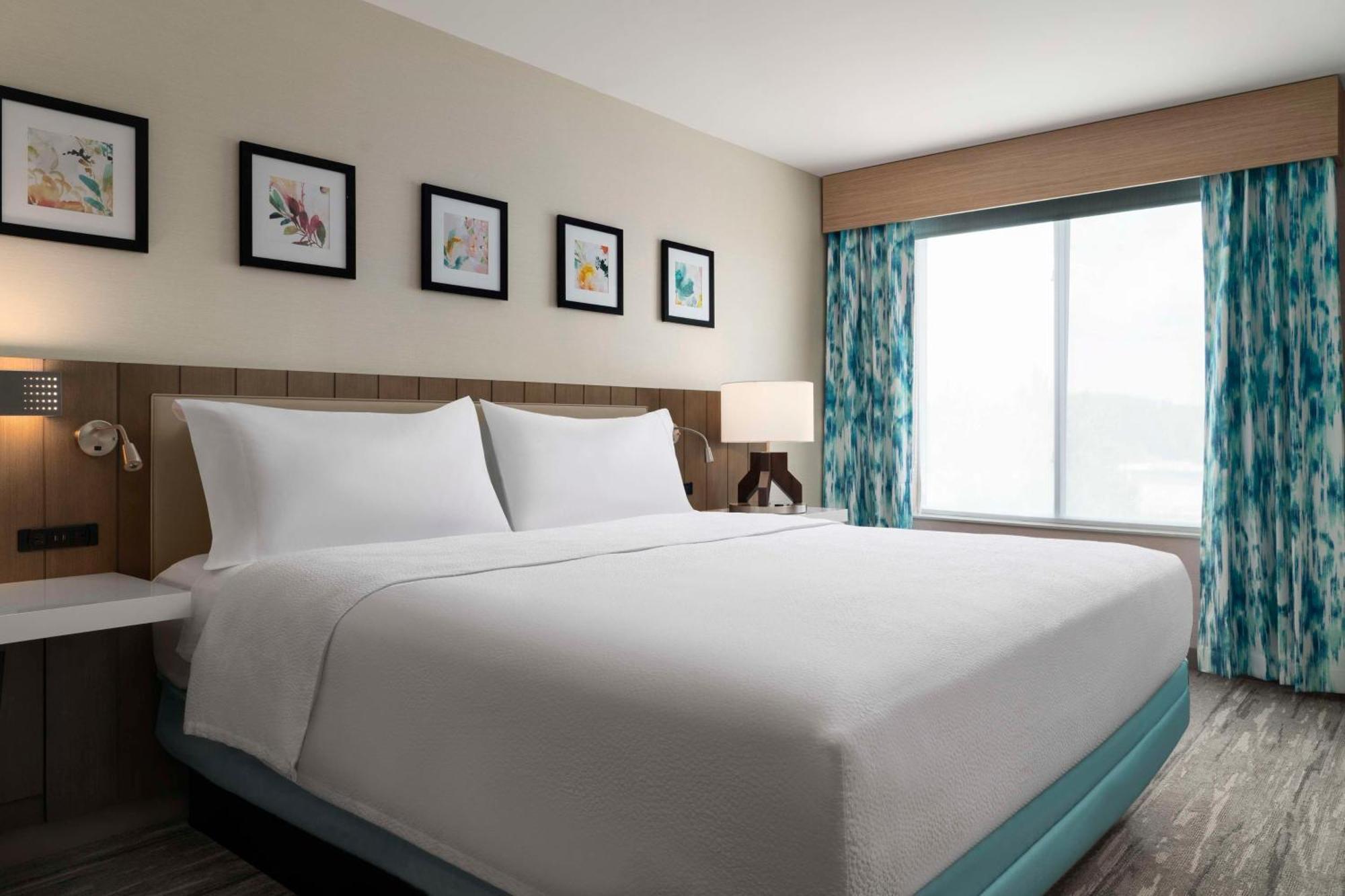 Executive Suite with One King Bed and Sofa Bed