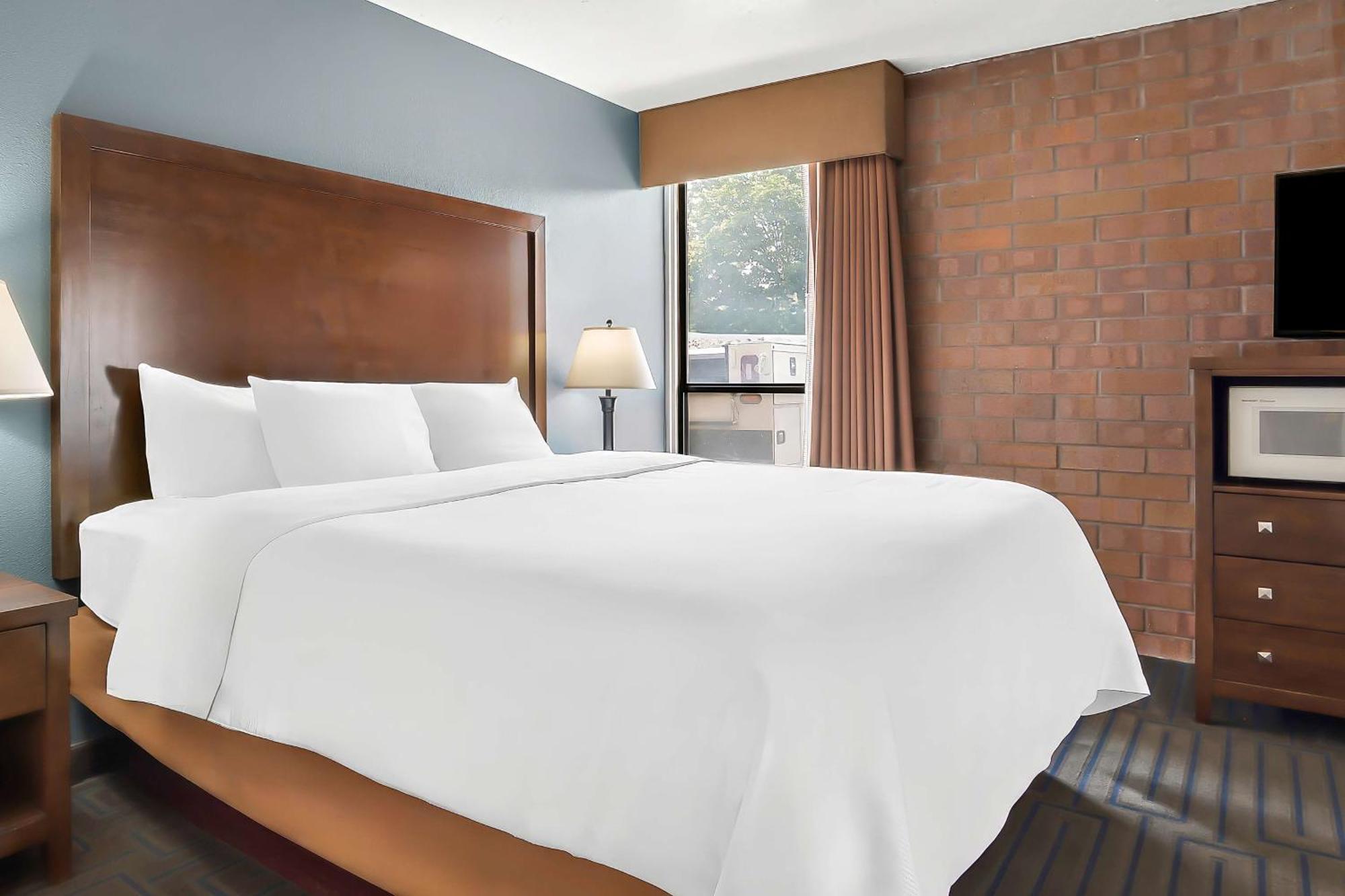 King Suite with Sofa Bed,1624319623:JPEG