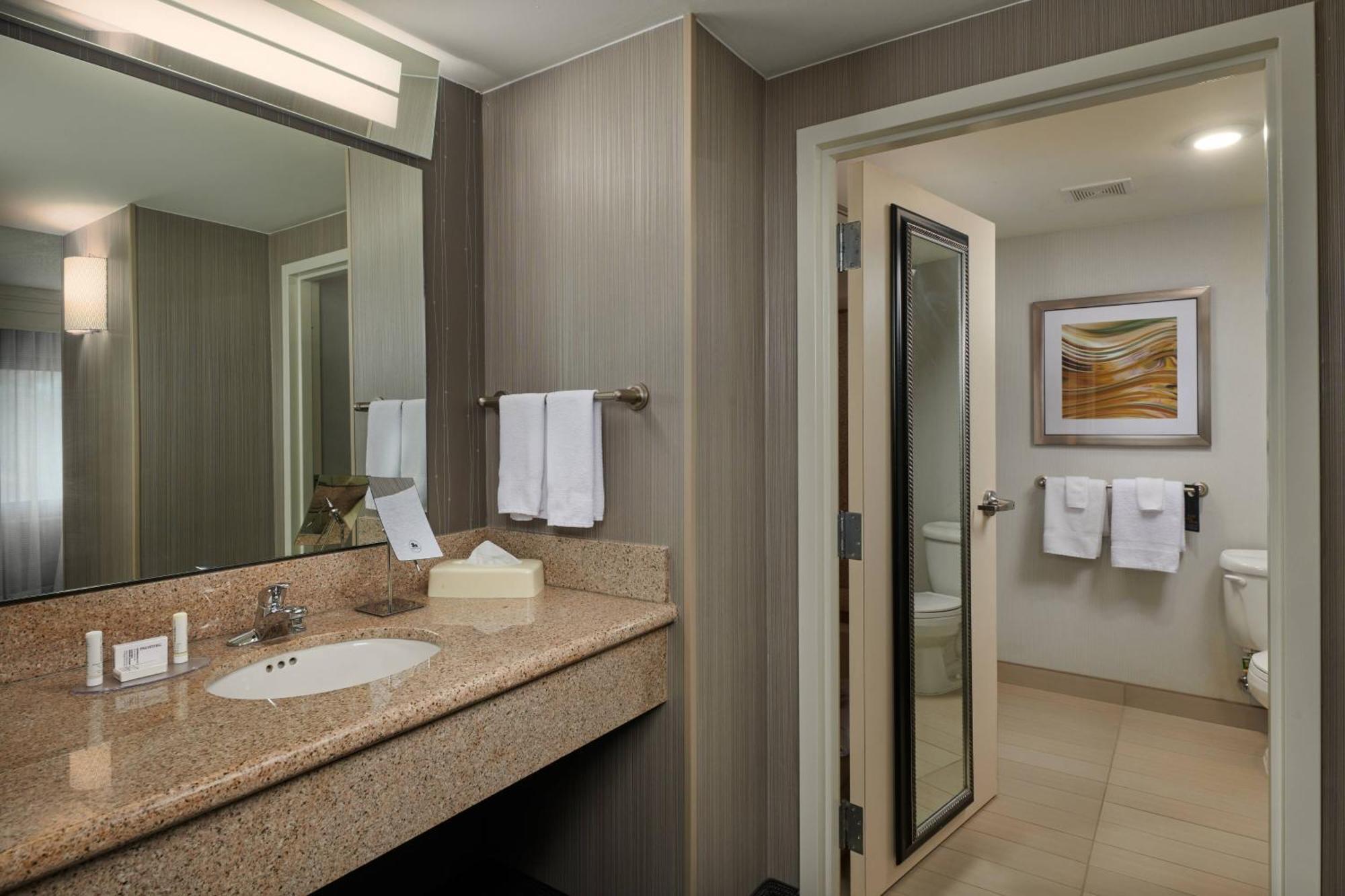 One-Bedroom King Suite with Sofa Bed