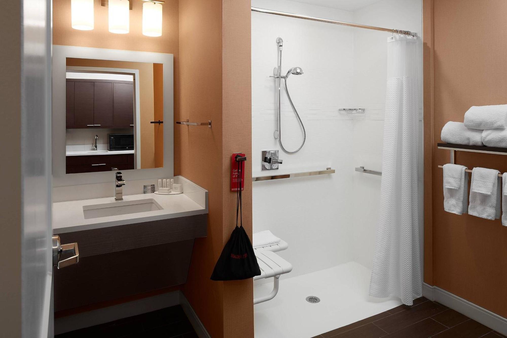 1 Bedroom Suite, 1 Queen, Sofa bed