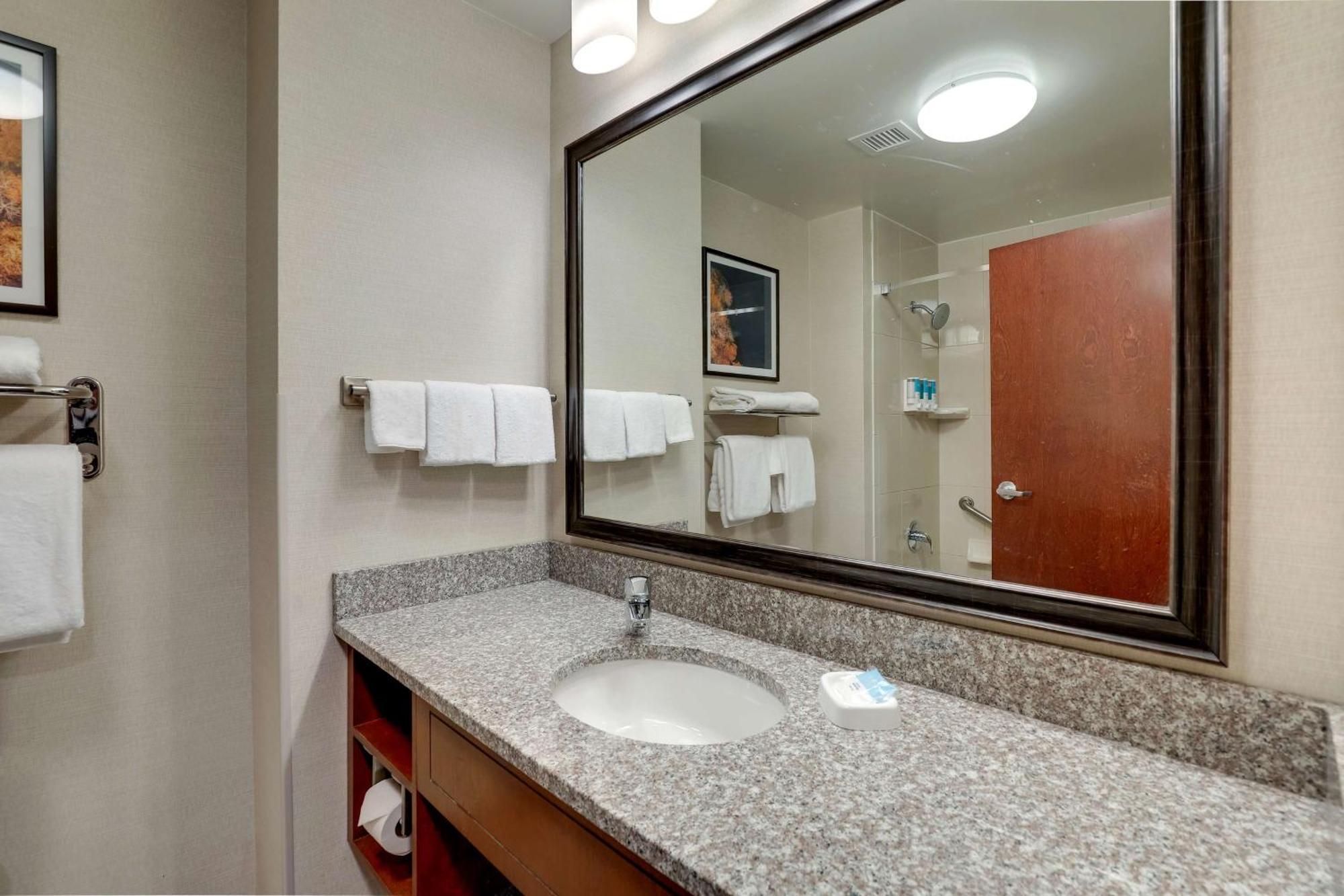 King Suite with Sofa Bed