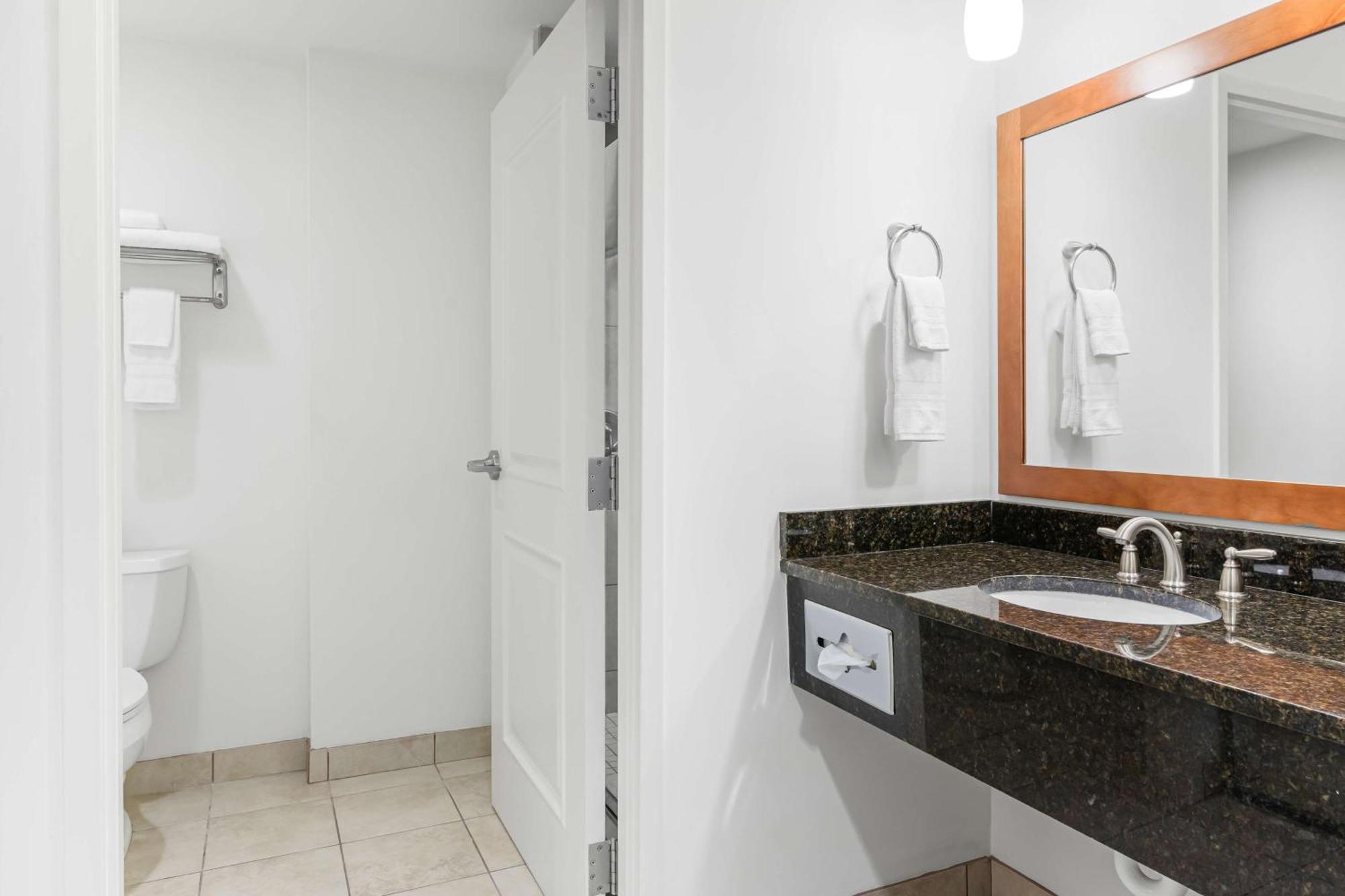 King Suite with Sofa Bed and Wet Bar - Non-Smoking