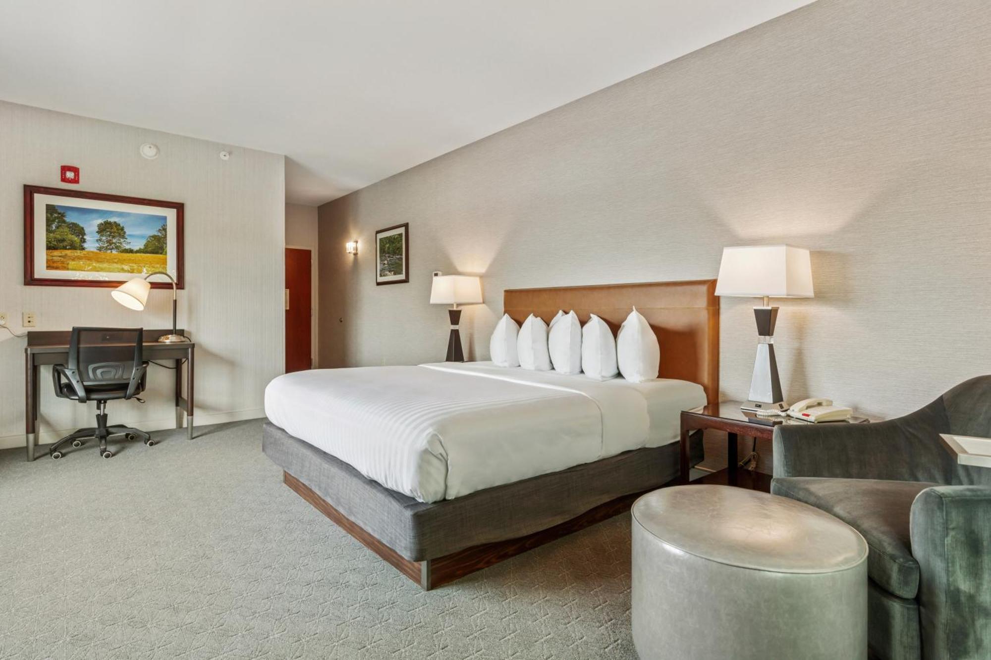 Premier King Room