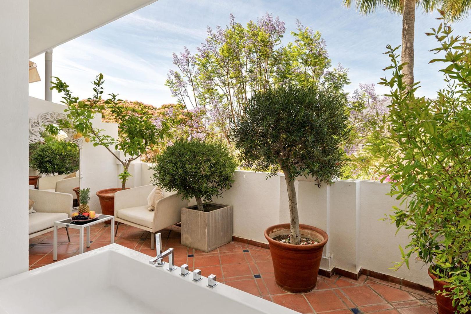 Suite Júnior com Terraço