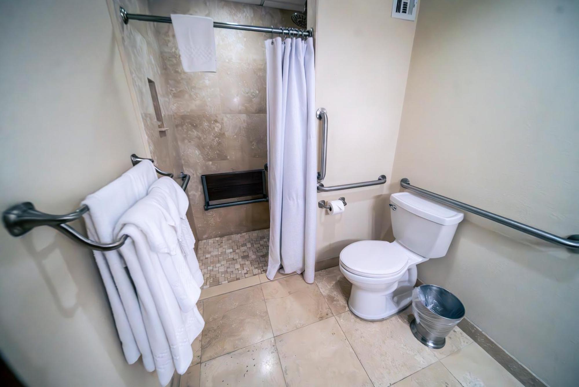 Suite with King Lakeview with Balcony