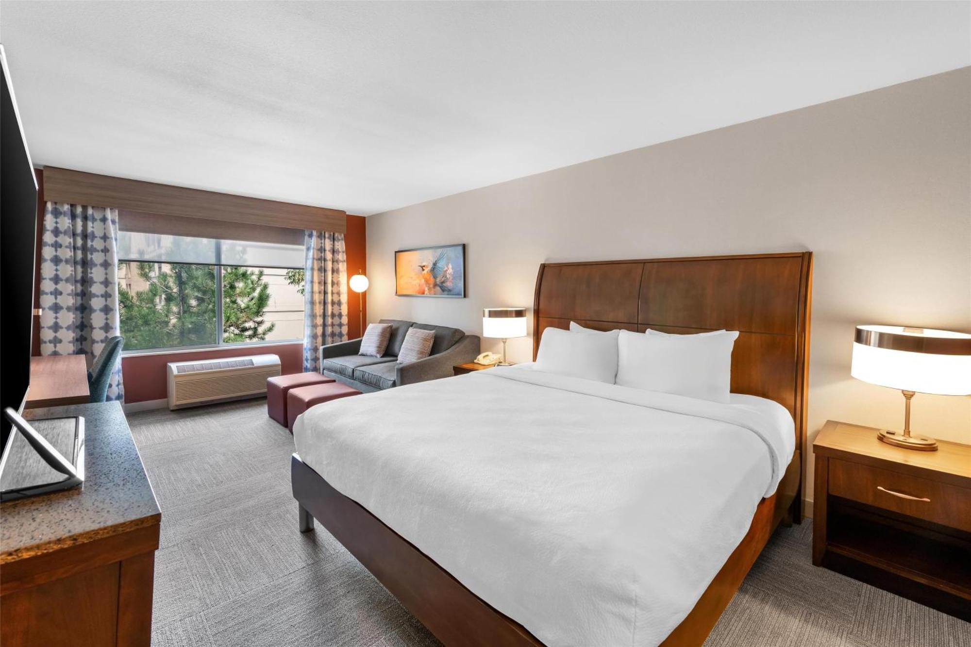King Room with Sofa Bed - Non-Smoking