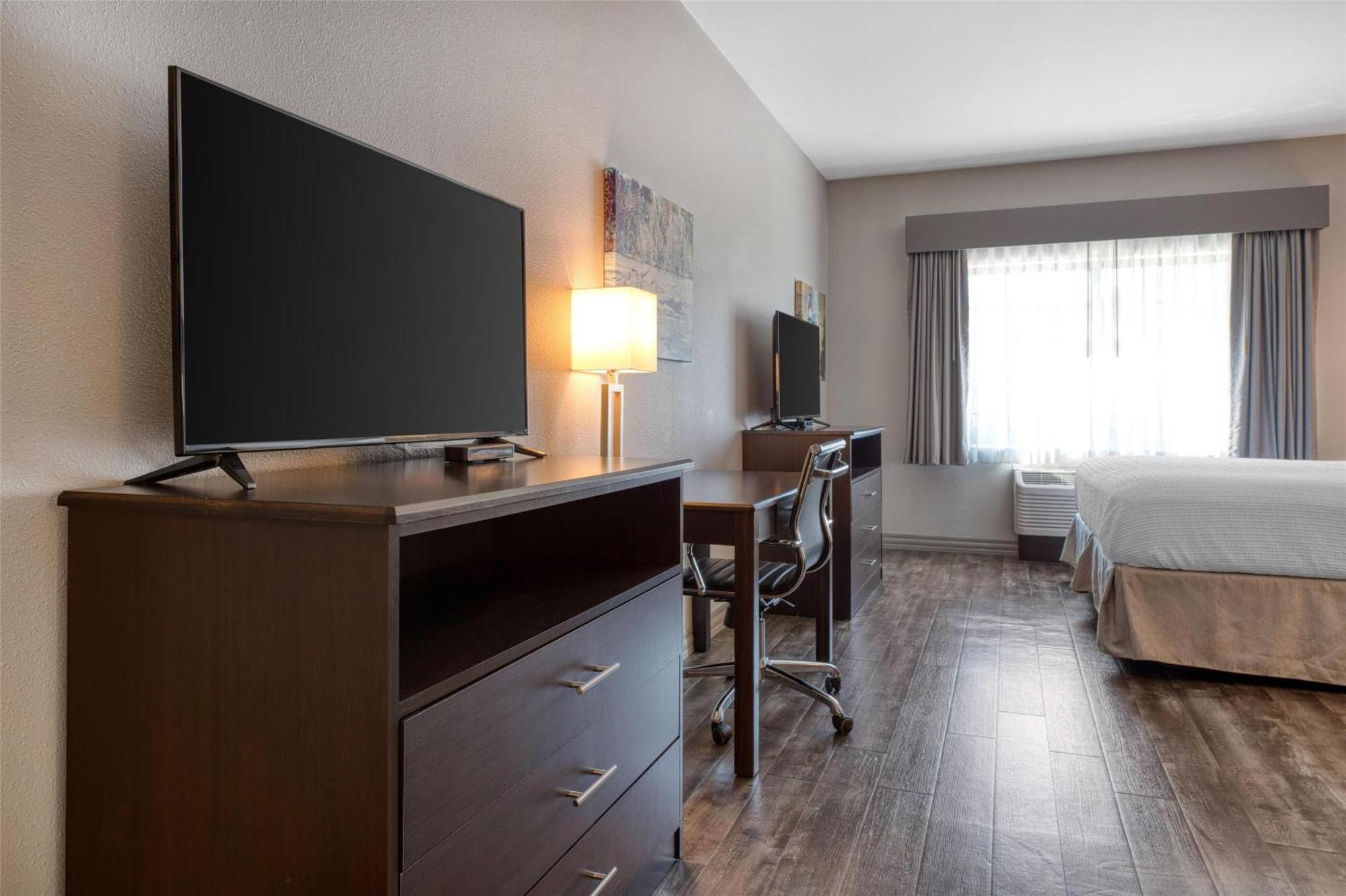 King Suite with Sofa Bed