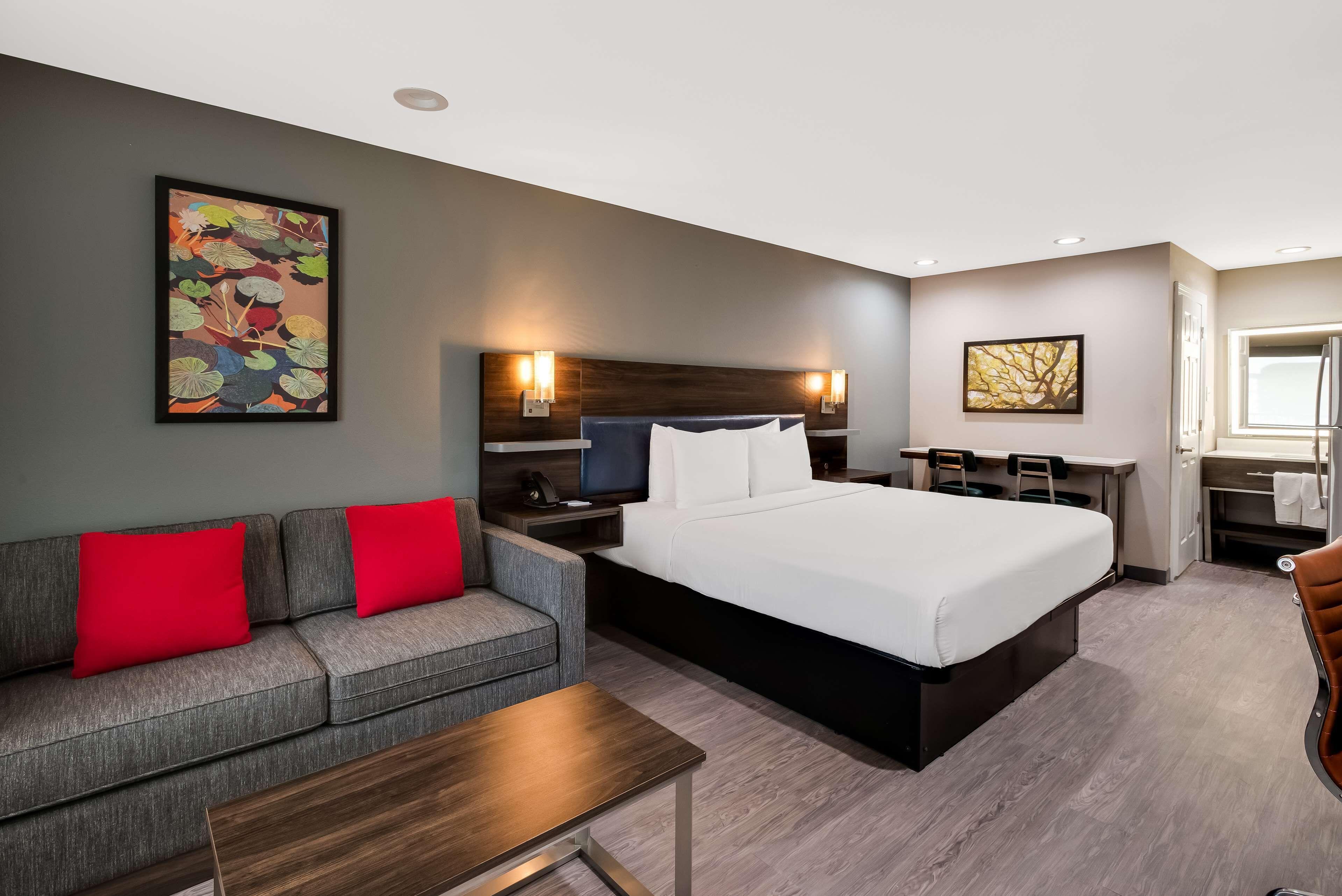 King Suite with Sofa Bed