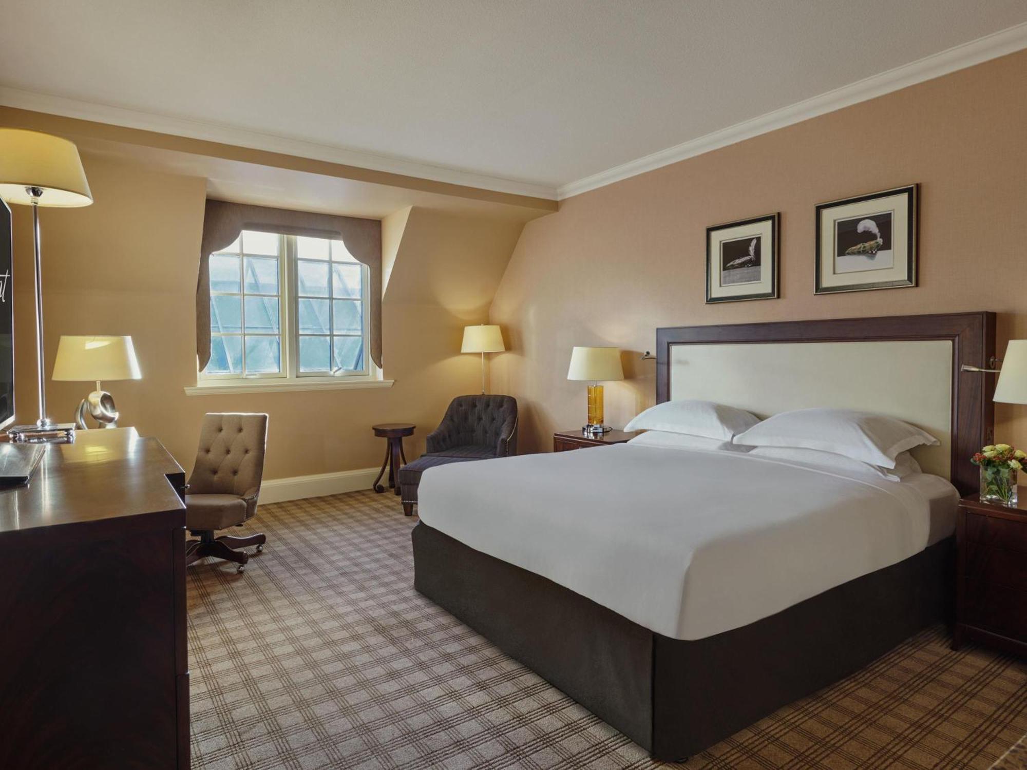 King Room,1730002221:JPEG