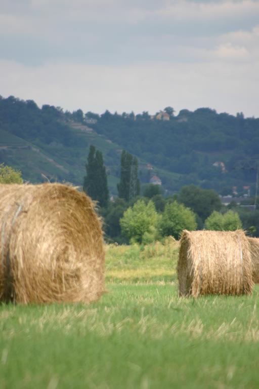 Sleeping Bag in Hayloft,173380431:JPEG