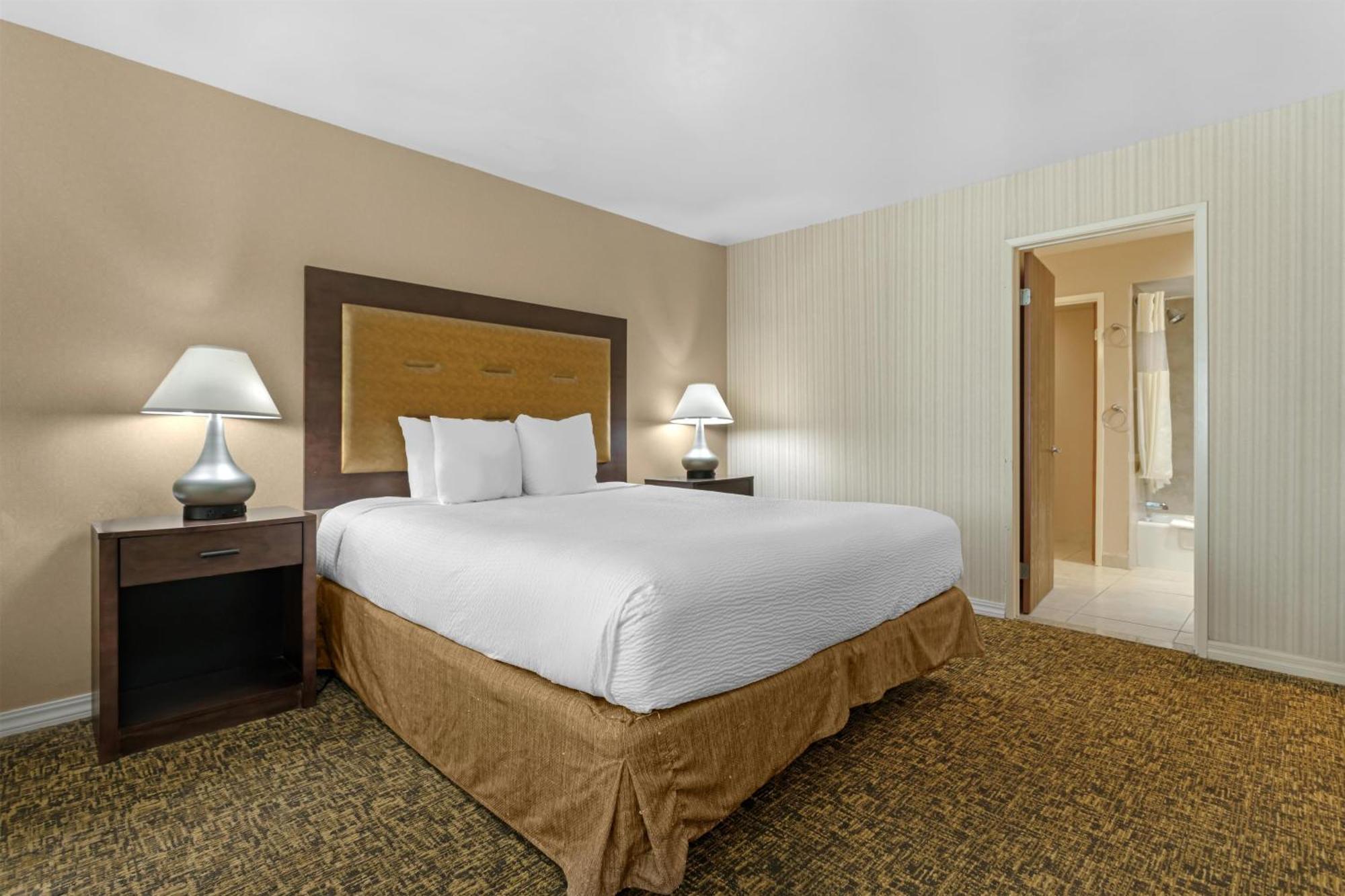 King Suite with Sofa Bed - Non-Smoking