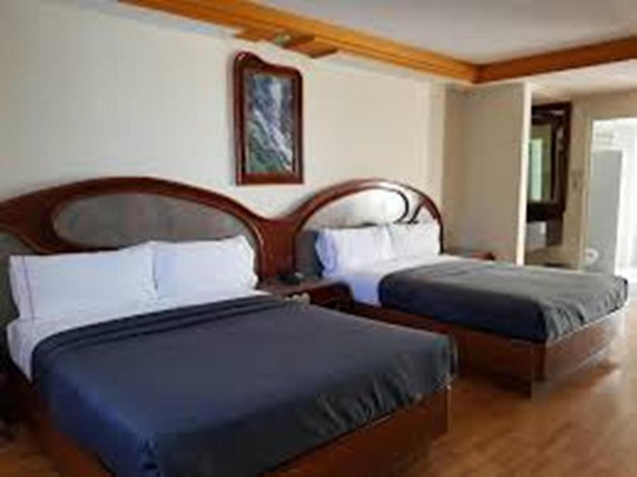 Chambre Standard avec 2 Lits Queen-Size - Non-Fumeurs