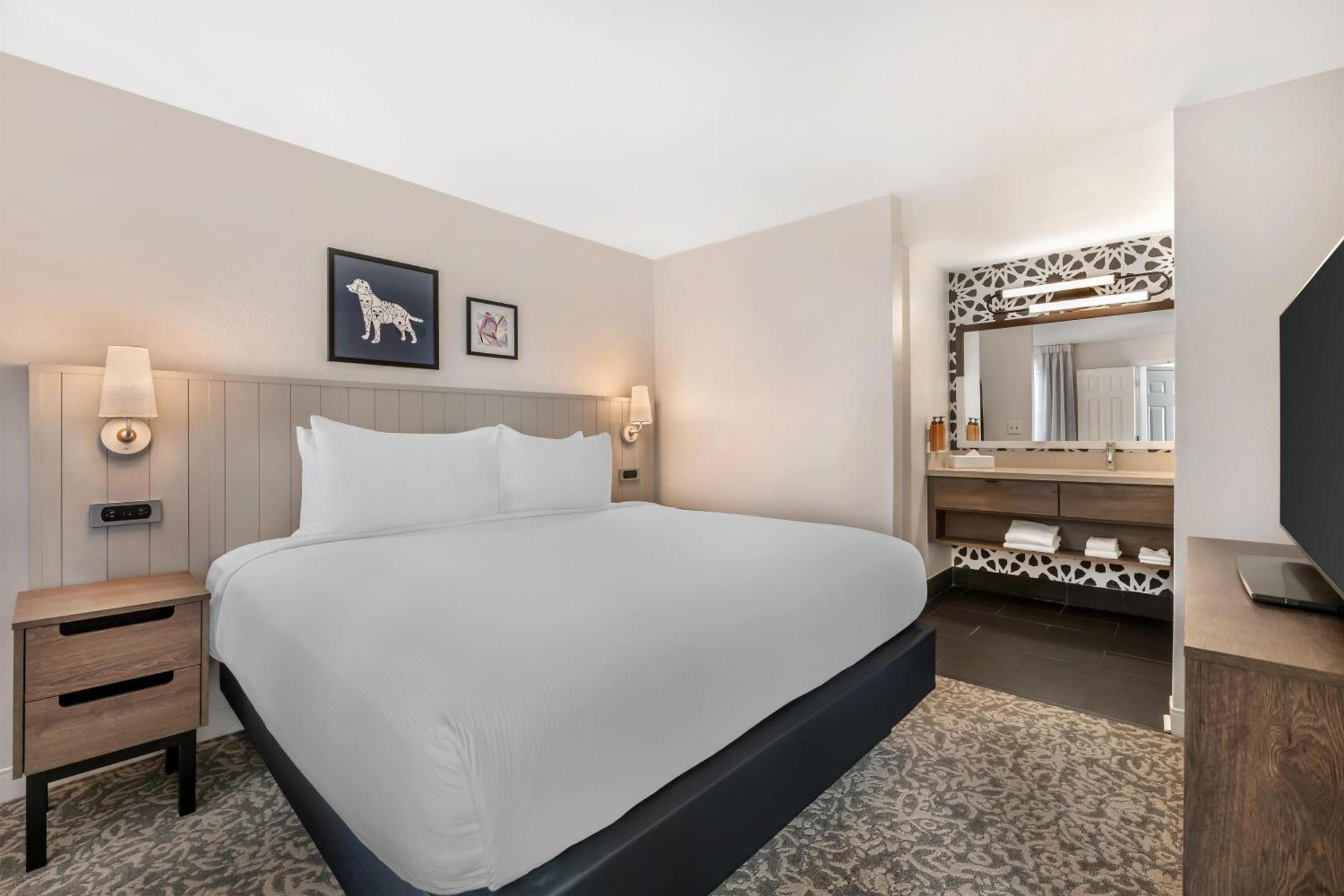 Suite de 1 dormitorio con cama extragrande