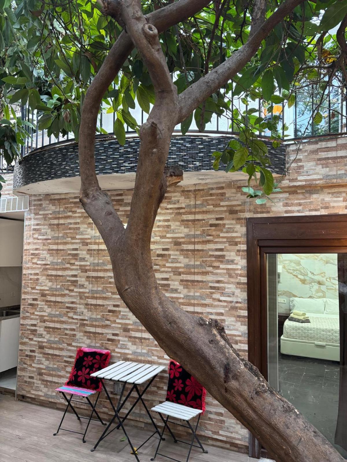 Estúdio com Terraço