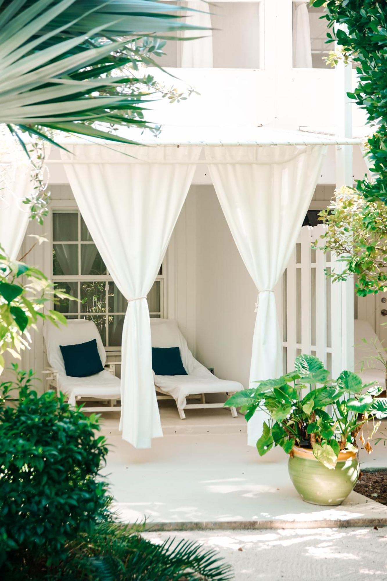 Sea Turtle Suite