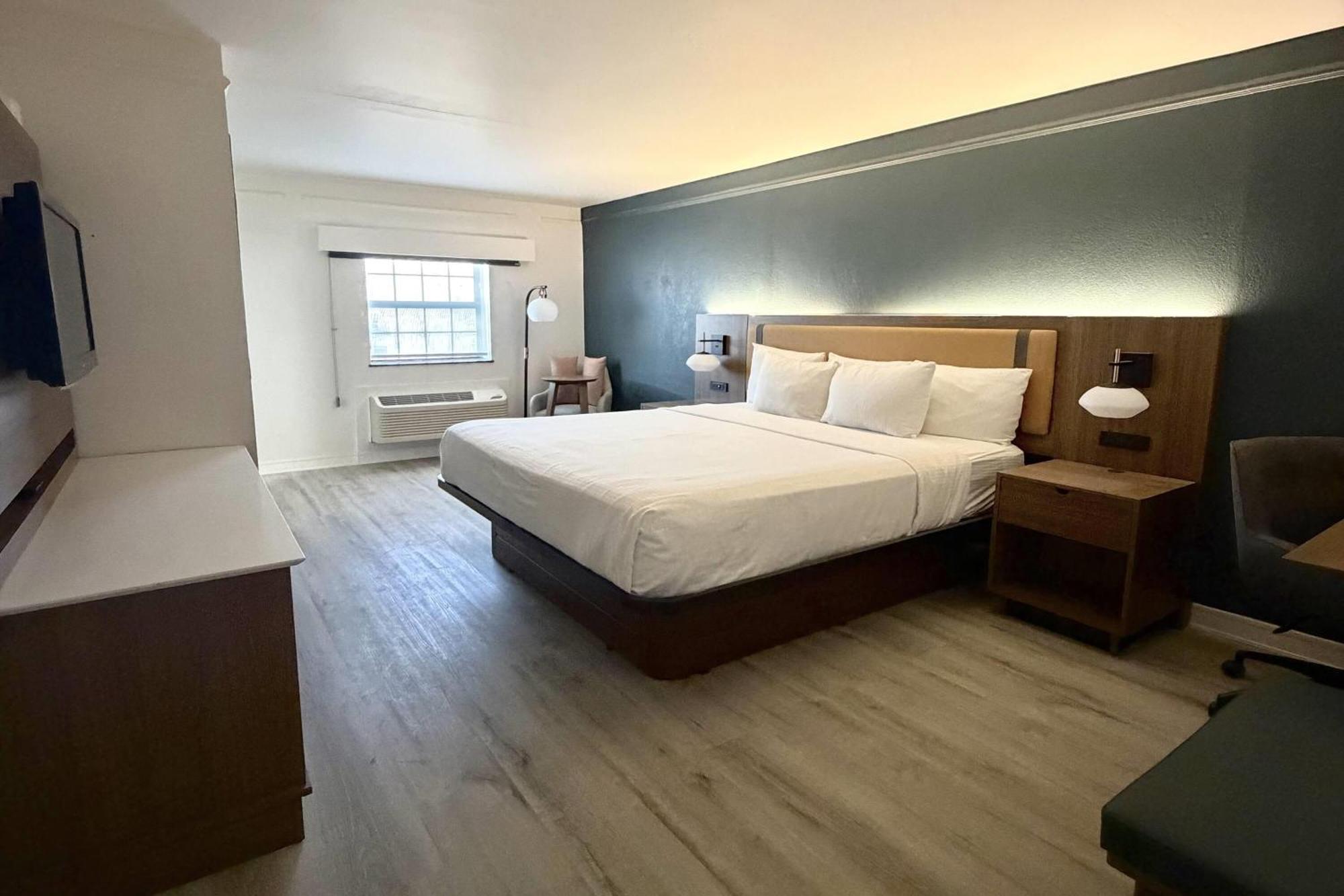 Modern King Room - Non-Smoking