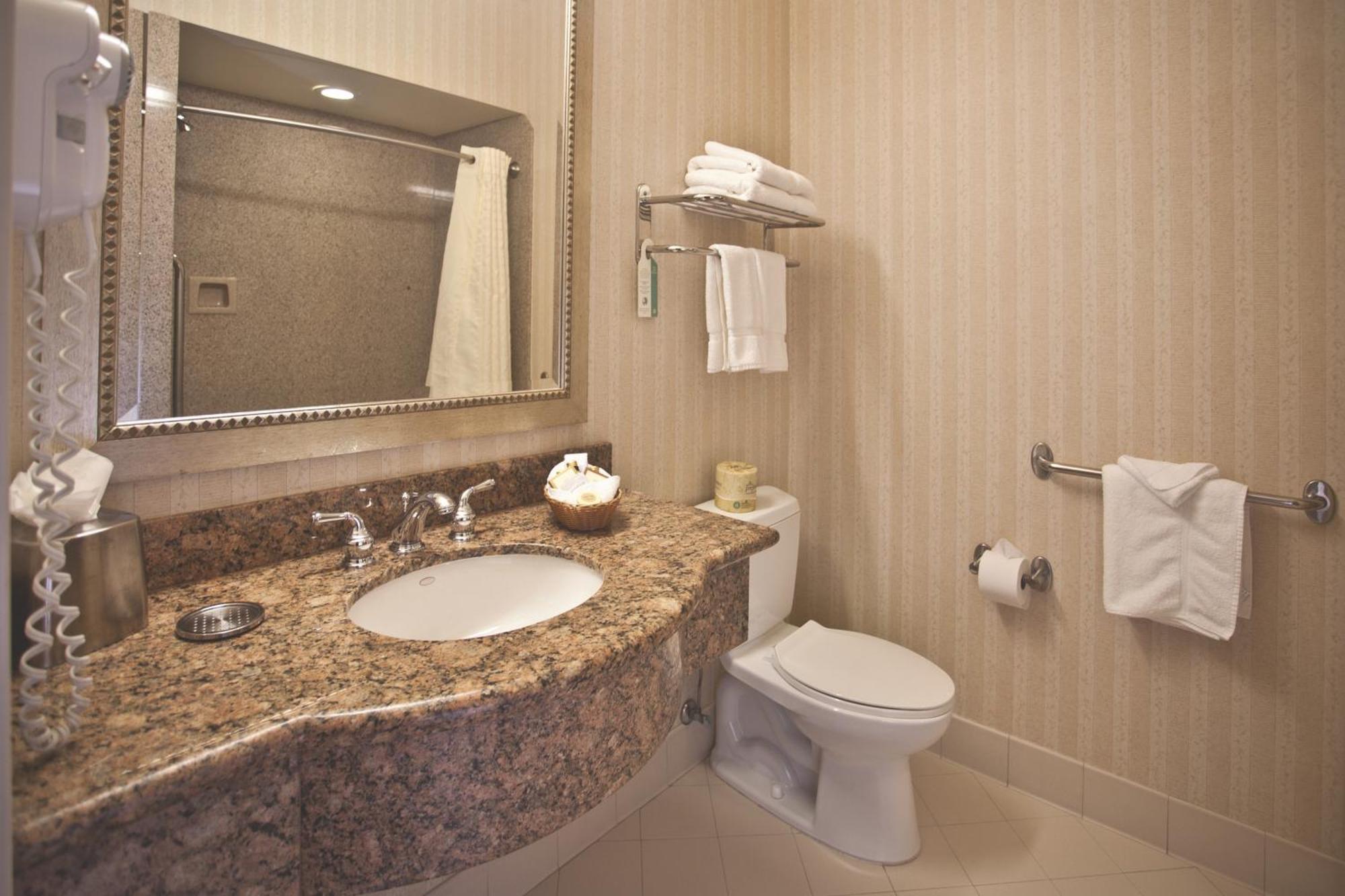 Double Room with Two Double Beds,176228361:JPEG