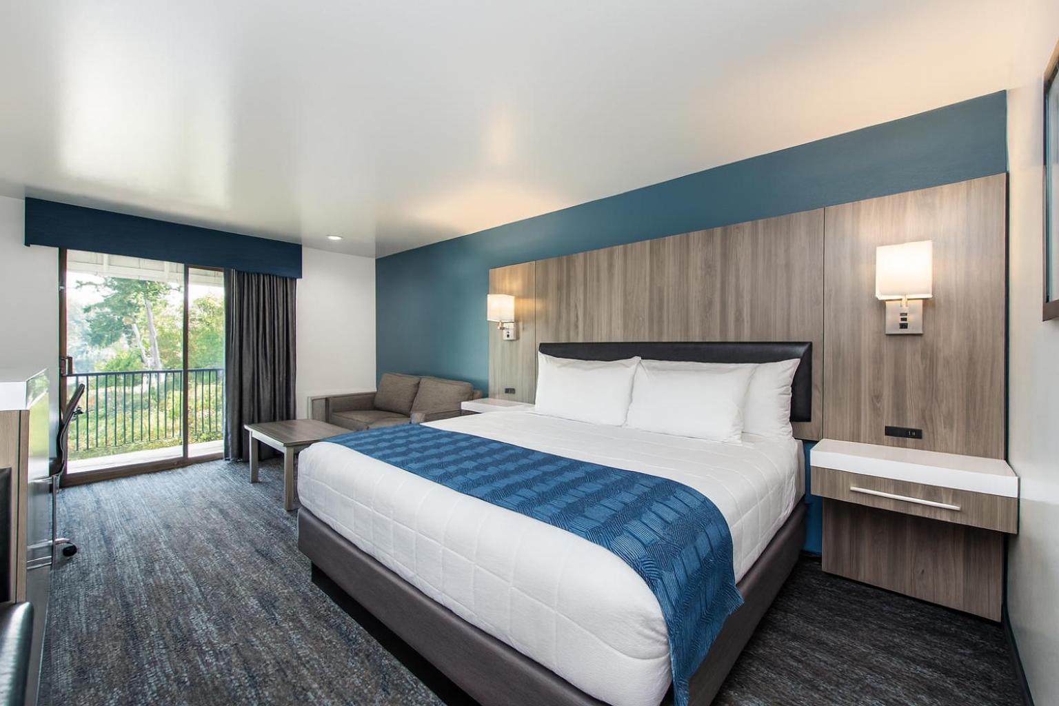 Deluxe King Room