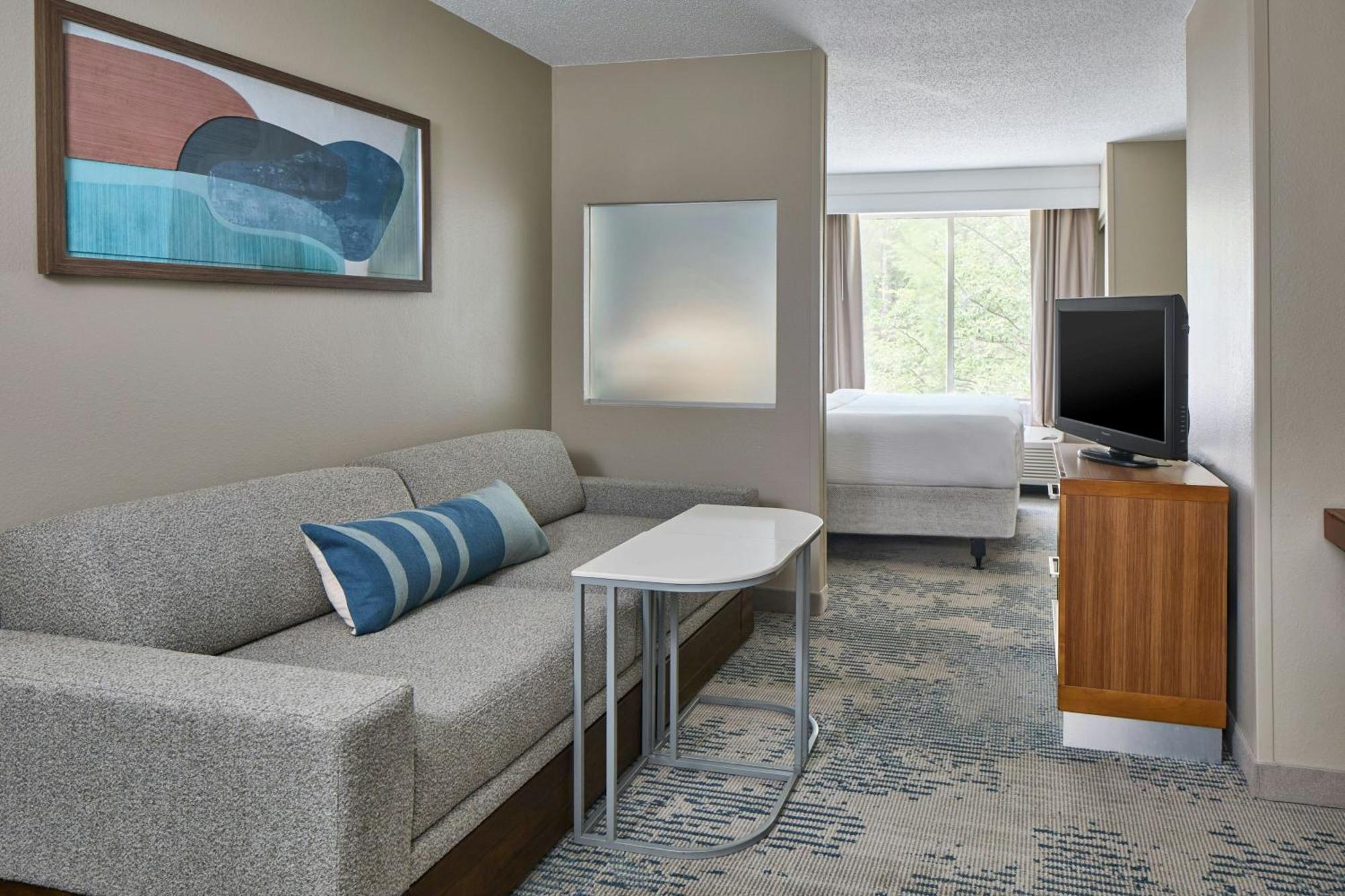 King Suite with Trundle Sofa