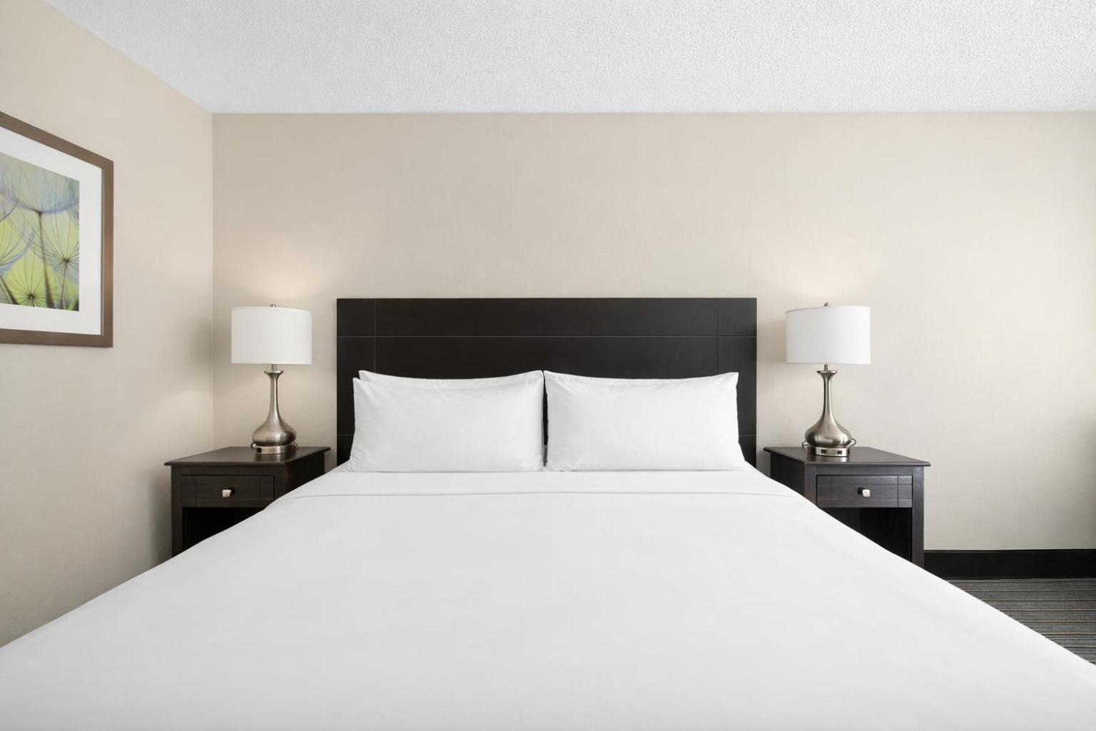 King Room - Disability Access