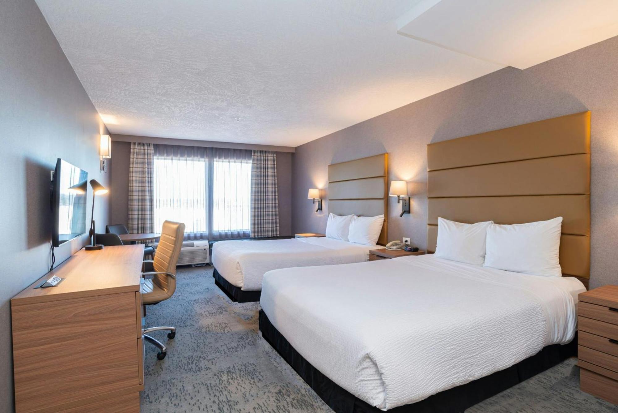 Standaard Kamer met 2 Queensize Bedden