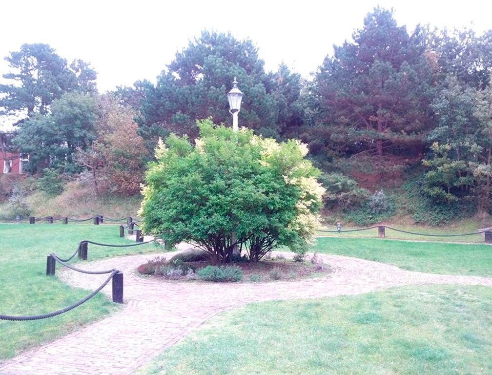 Single Room with Shower,229376290:JPEG